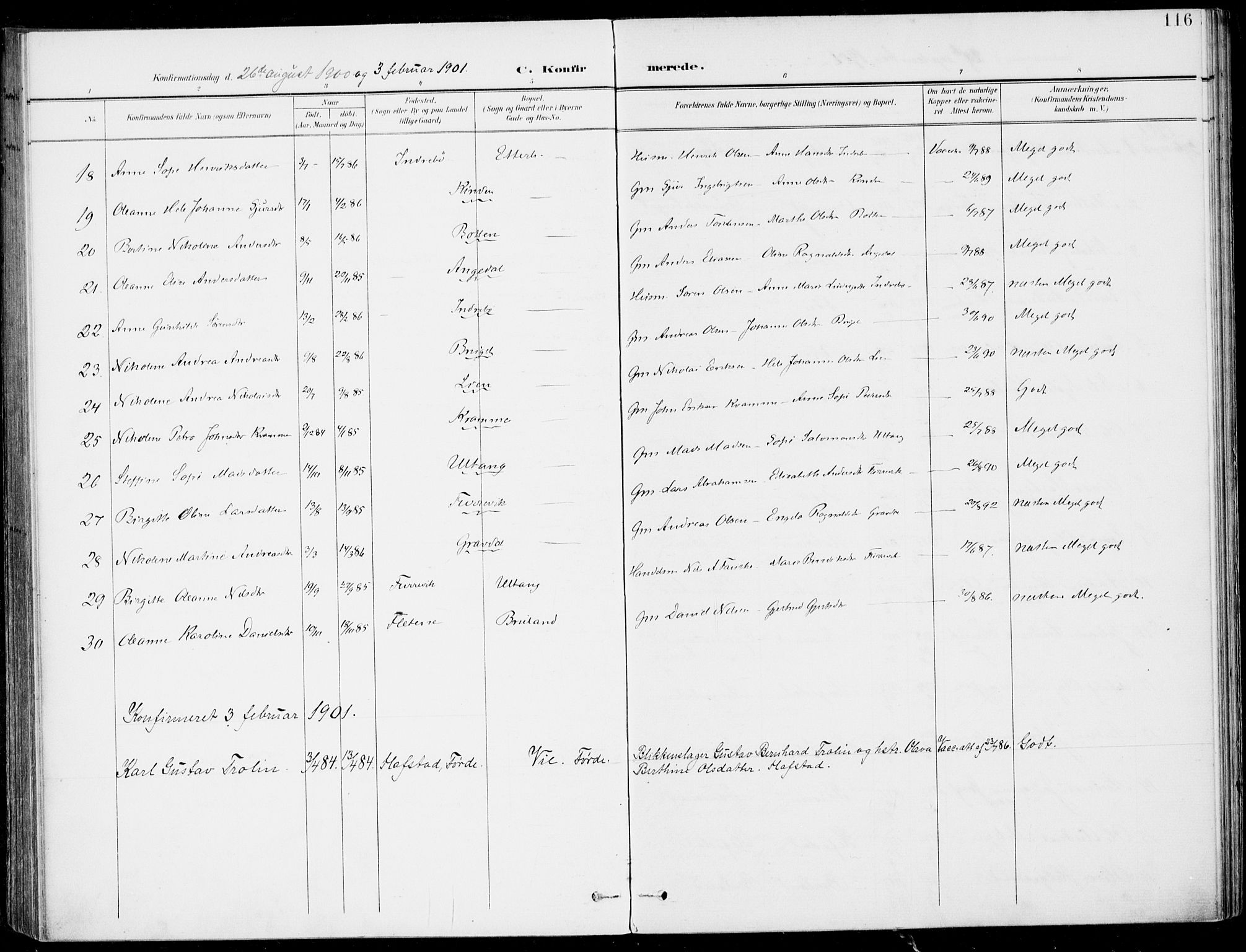 Førde sokneprestembete, AV/SAB-A-79901/H/Haa/Haab/L0002: Ministerialbok nr. B  2, 1899-1920, s. 116