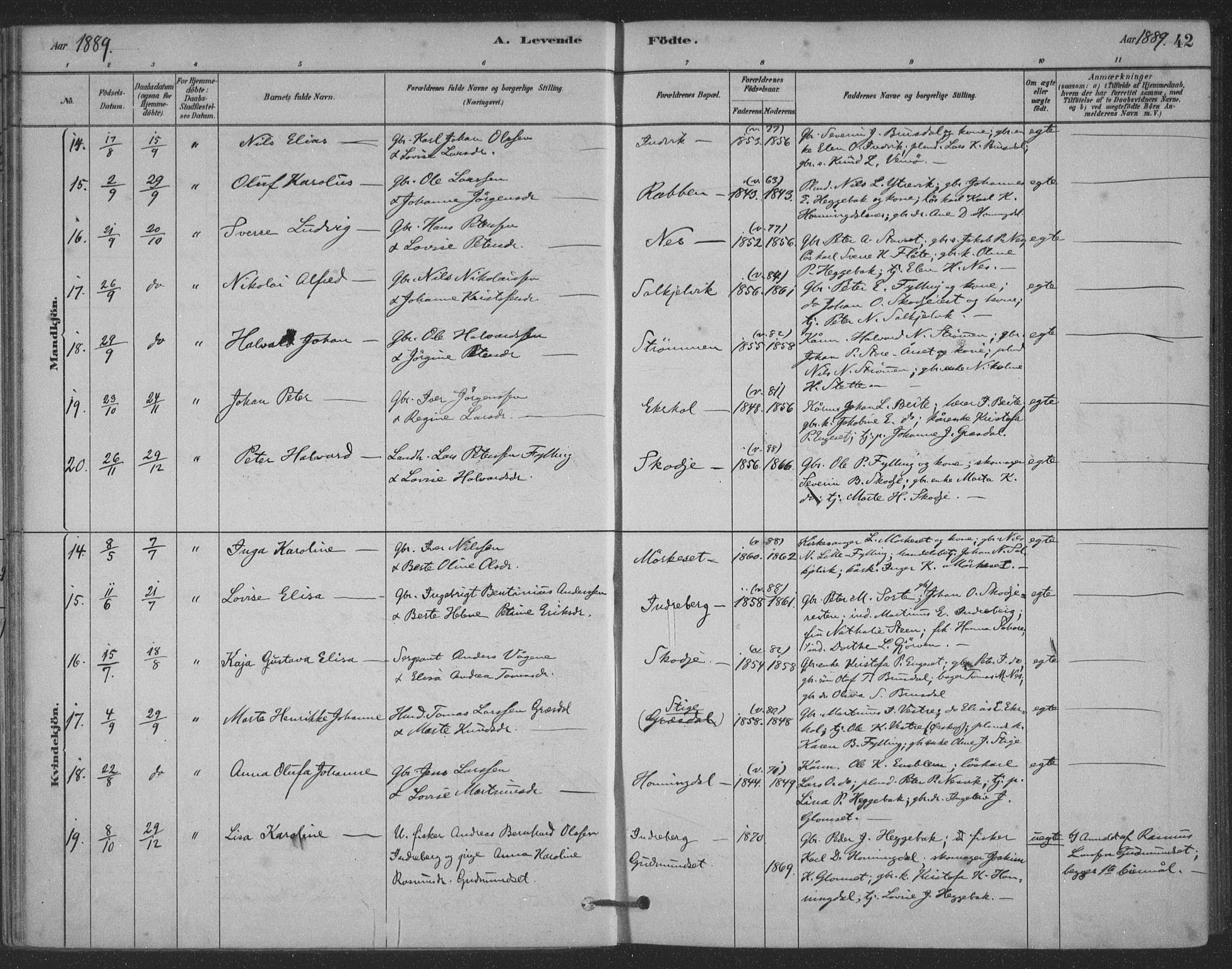 Ministerialprotokoller, klokkerbøker og fødselsregistre - Møre og Romsdal, AV/SAT-A-1454/524/L0356: Ministerialbok nr. 524A08, 1880-1899, s. 42