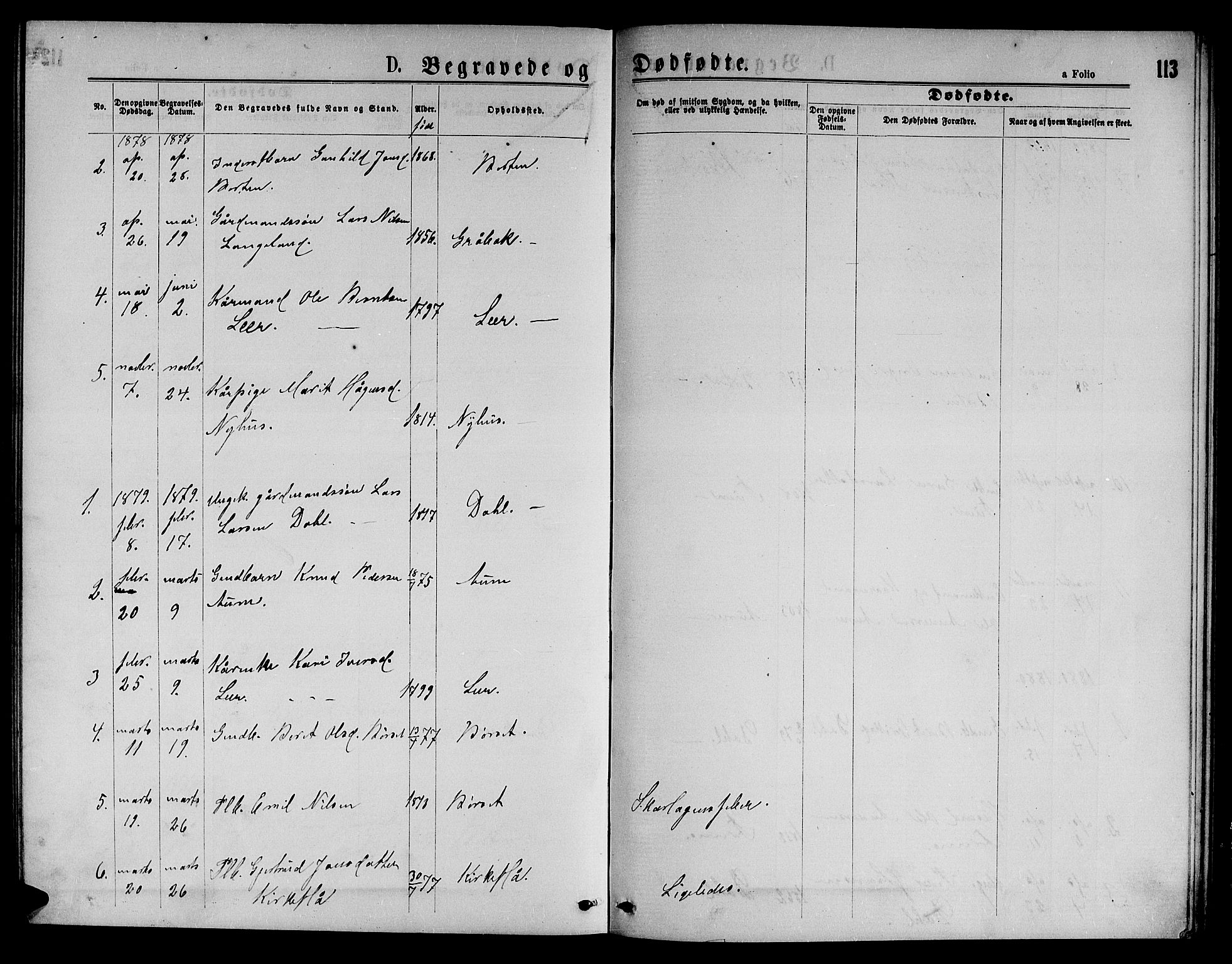 Ministerialprotokoller, klokkerbøker og fødselsregistre - Sør-Trøndelag, AV/SAT-A-1456/693/L1122: Klokkerbok nr. 693C03, 1870-1886, s. 113