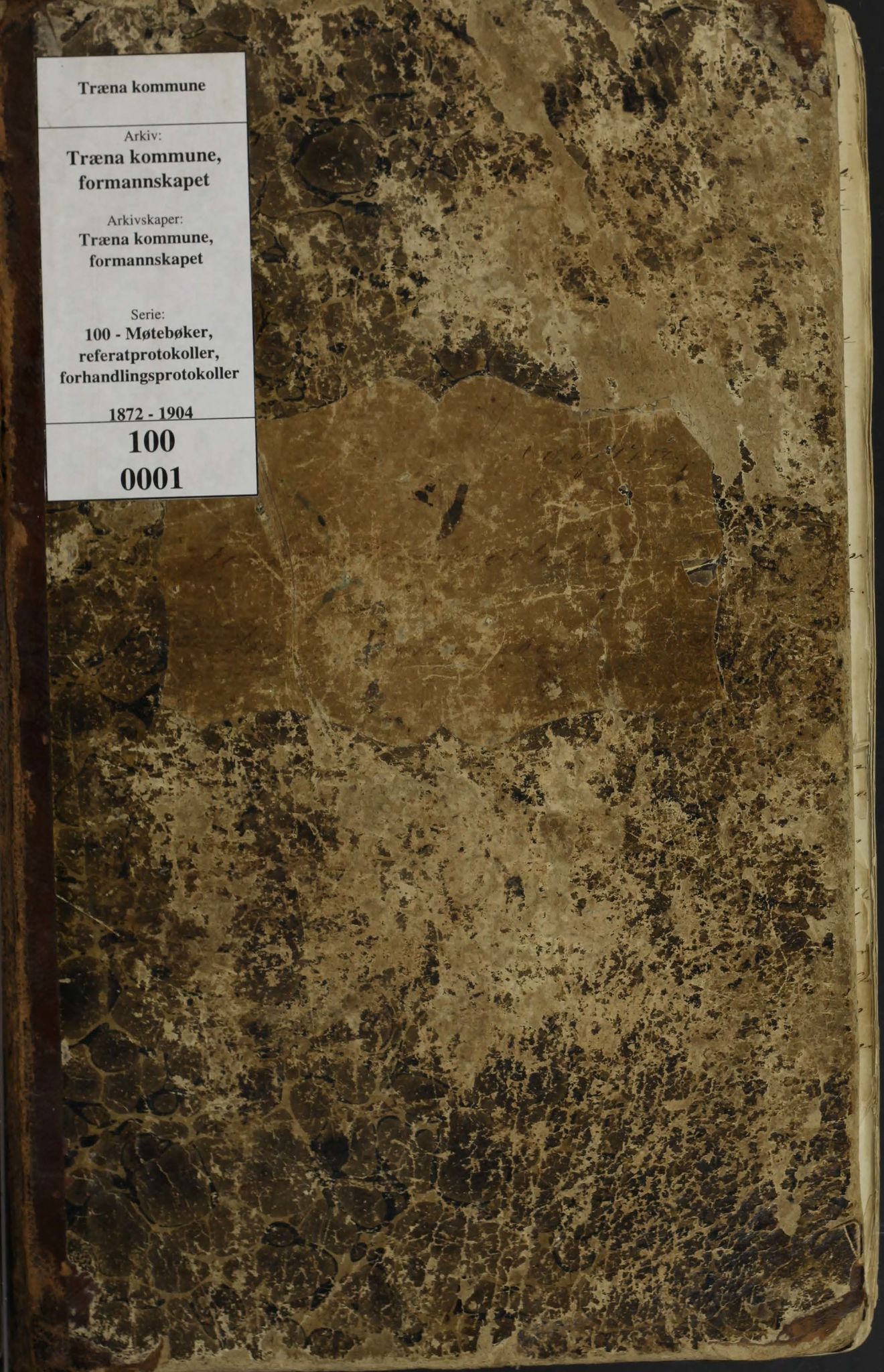 Træna kommune. Formannskapet, AIN/K-18350.150/100/L0001: Forhandlingsprotokoll for Træna, 1872-1904