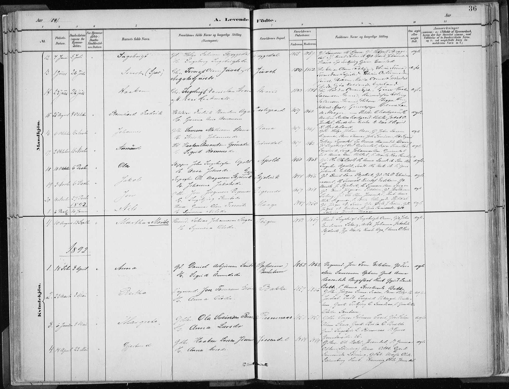 Odda Sokneprestembete, AV/SAB-A-77201/H/Haa: Ministerialbok nr. A  3, 1882-1913, s. 36