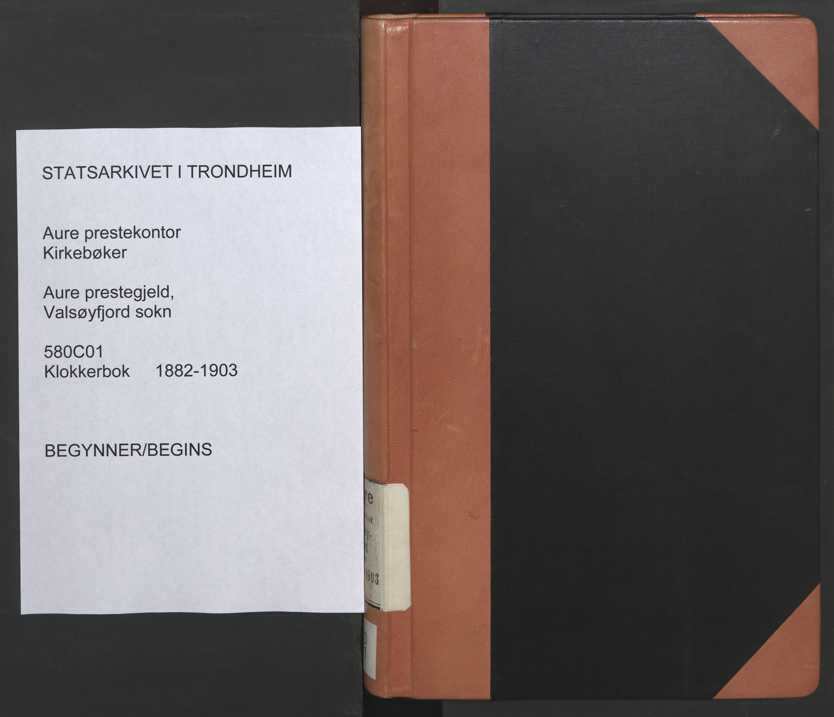 Ministerialprotokoller, klokkerbøker og fødselsregistre - Møre og Romsdal, SAT/A-1454/580/L0926: Klokkerbok nr. 580C01, 1882-1903