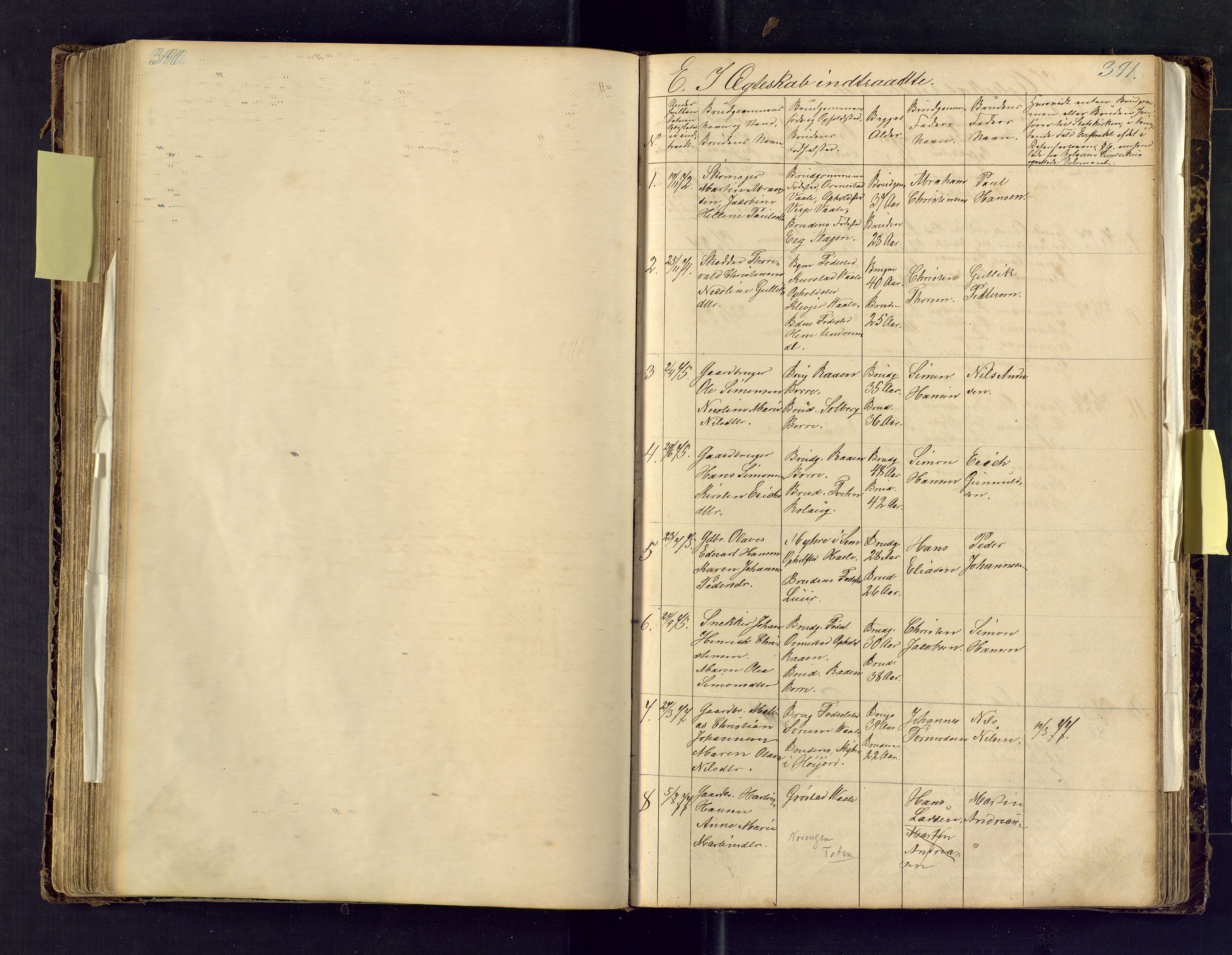 Den evangelisk lutherske frimenighet i Jarlsbergs grevskap med flere steder, AV/SAKO-P-1384/F/Fa/L0001: Dissenterprotokoll nr. Fa/L0001, 1872-1925, s. 390-391