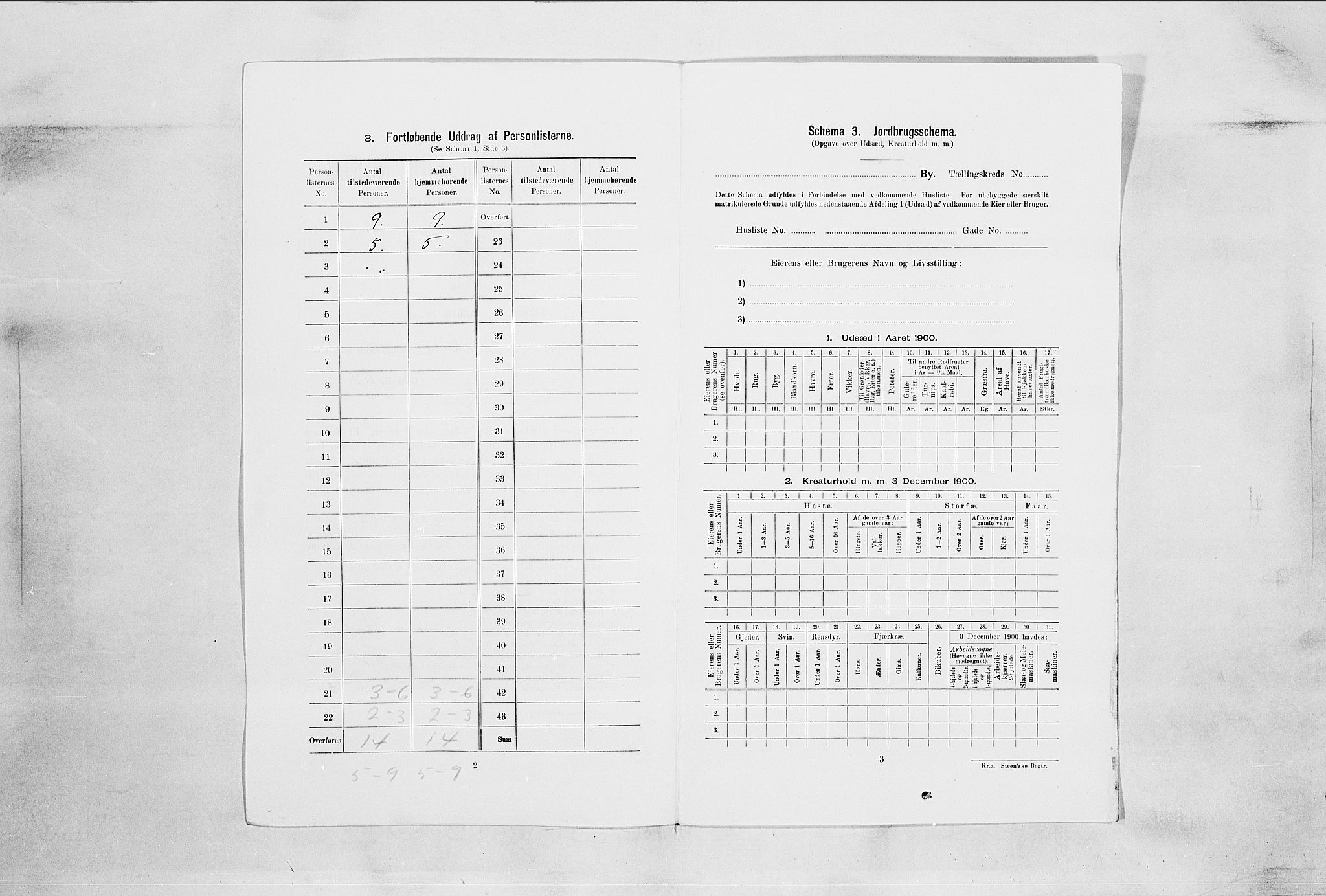 SAO, Folketelling 1900 for 0203 Drøbak kjøpstad, 1900