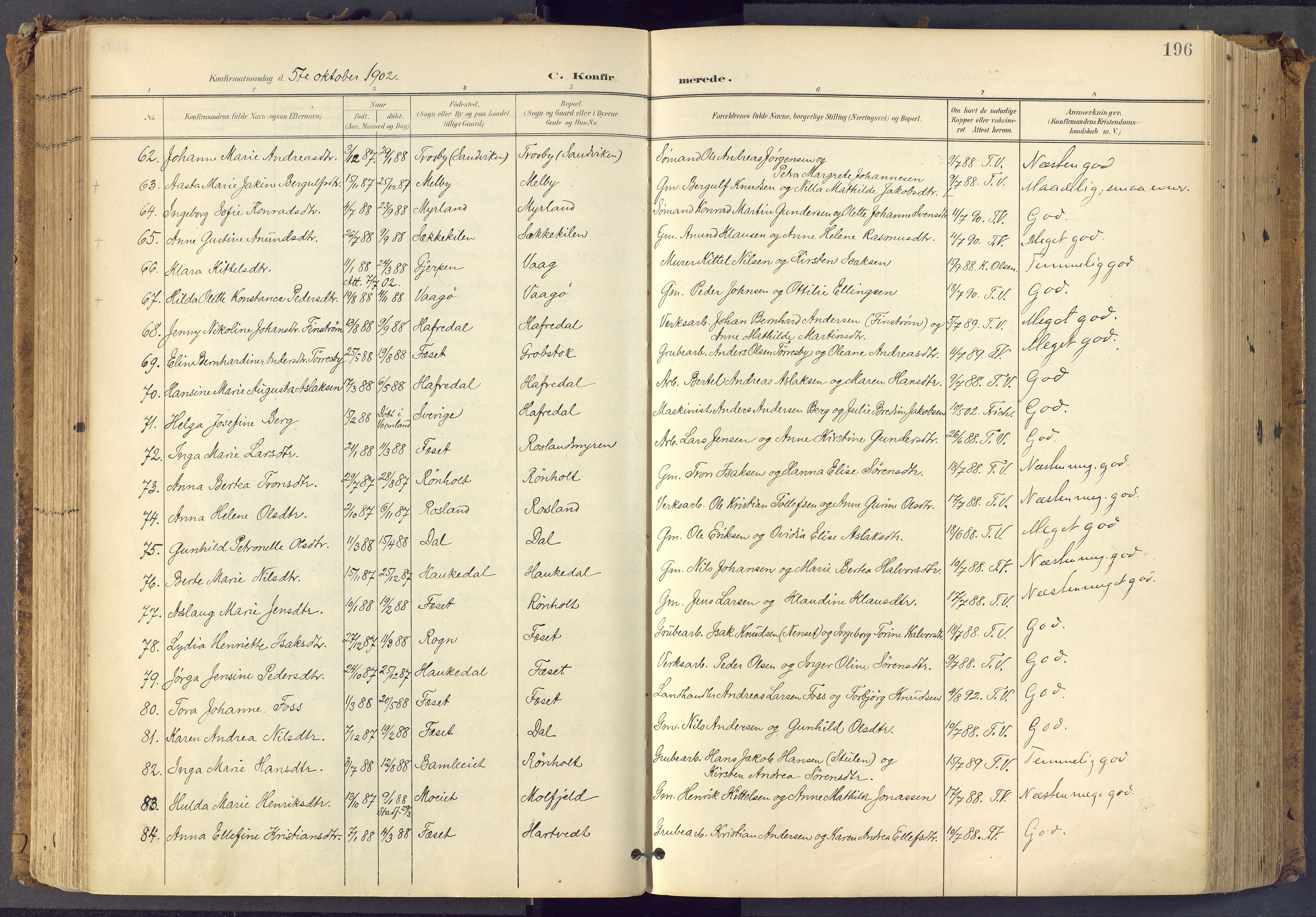 Bamble kirkebøker, SAKO/A-253/F/Fa/L0009: Ministerialbok nr. I 9, 1901-1917, s. 196