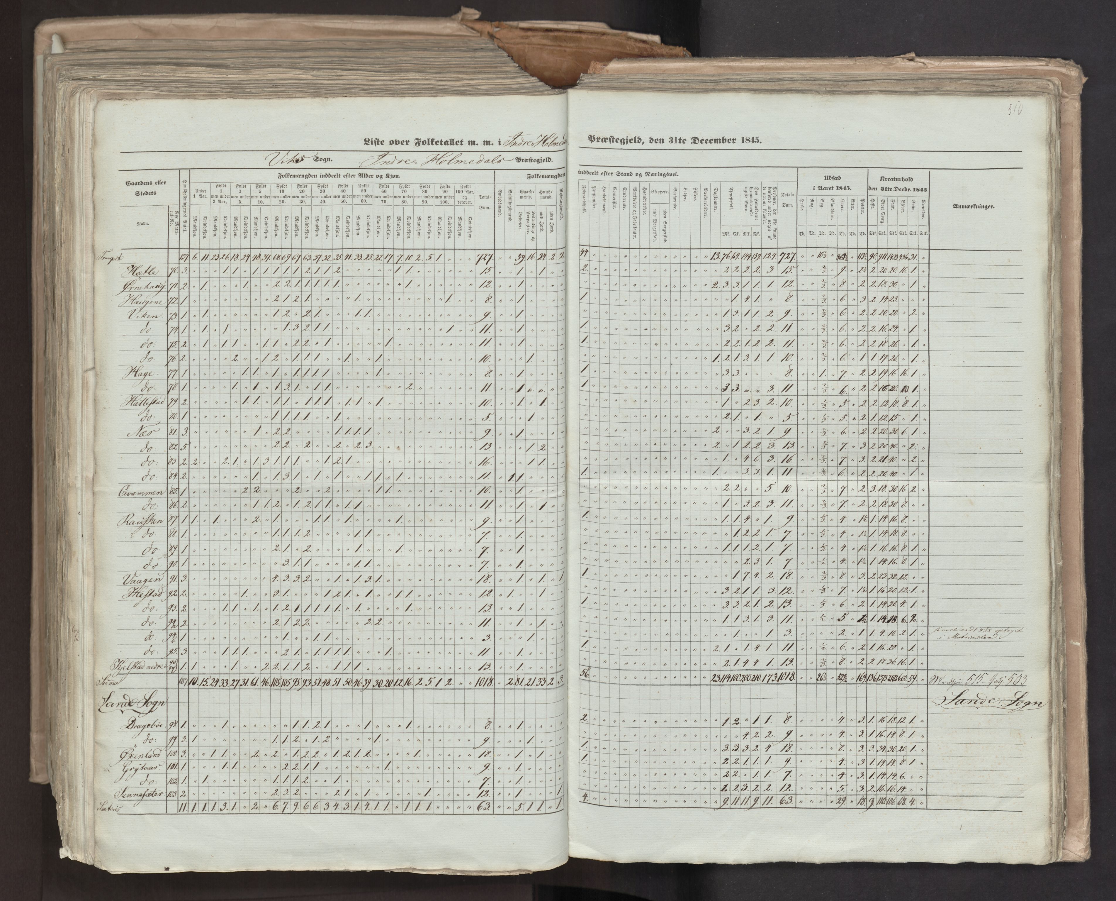 RA, Folketellingen 1845, bind 7: Søndre Bergenhus amt og Nordre Bergenhus amt, 1845, s. 510