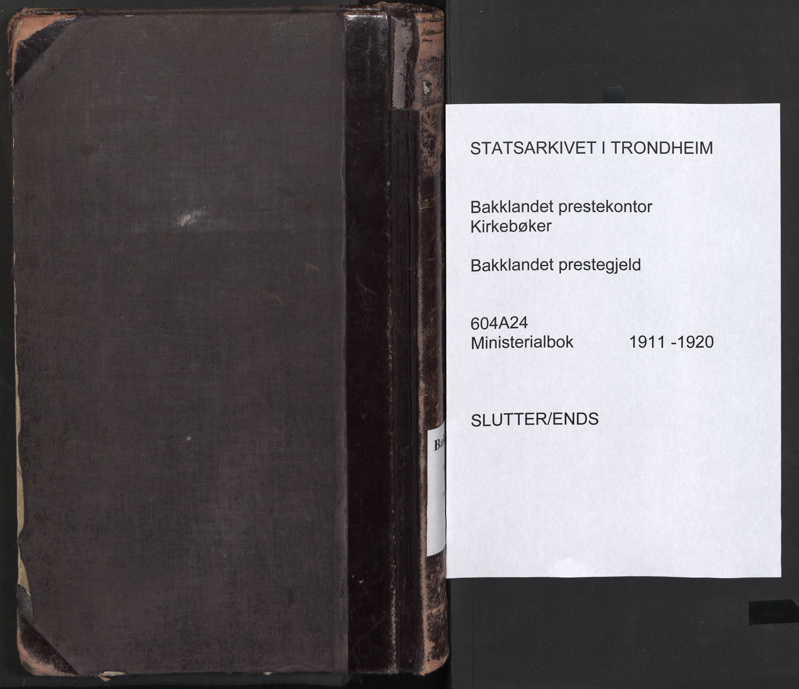 Ministerialprotokoller, klokkerbøker og fødselsregistre - Sør-Trøndelag, SAT/A-1456/604/L0204: Ministerialbok nr. 604A24, 1911-1920
