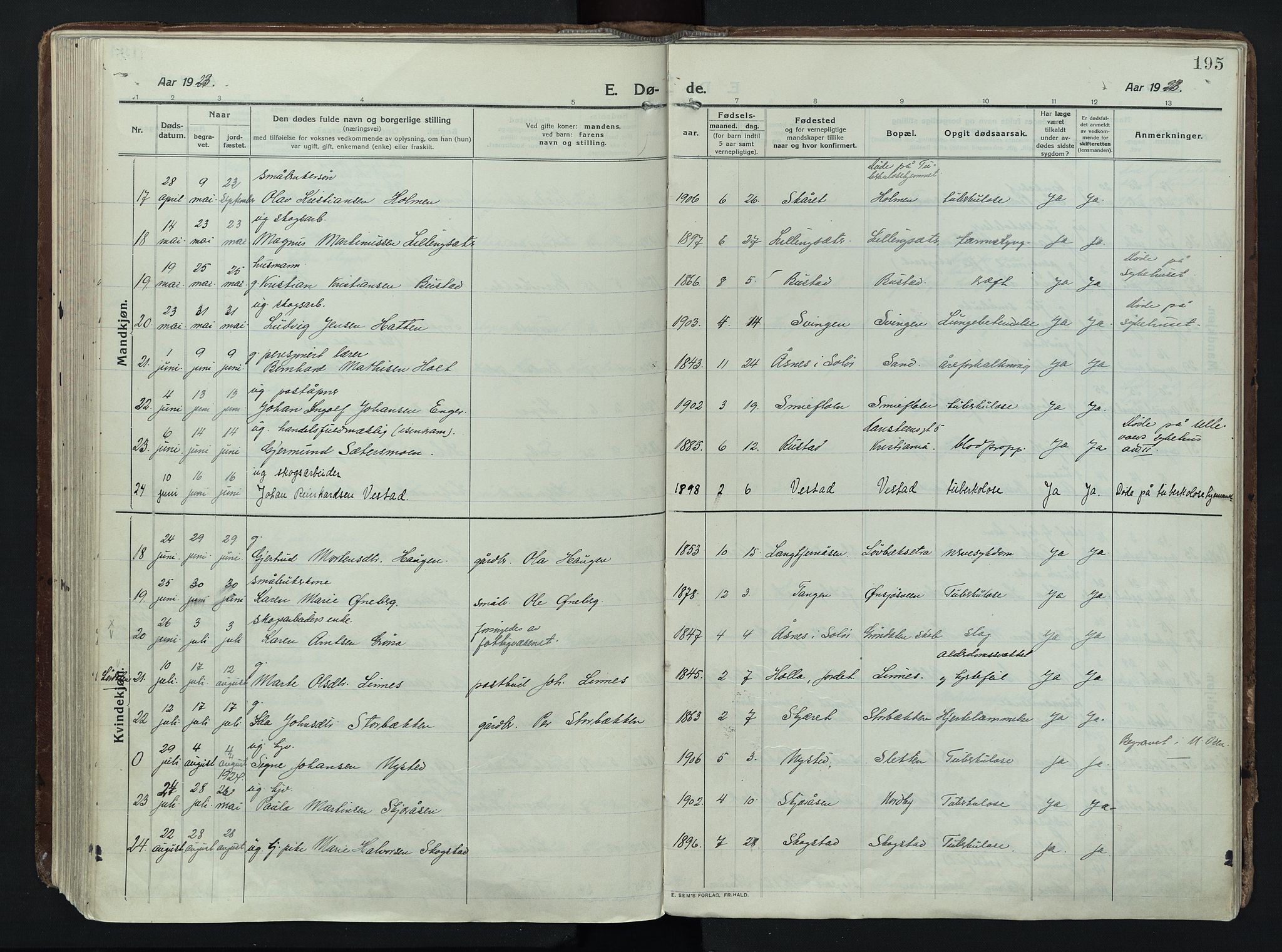 Trysil prestekontor, AV/SAH-PREST-046/H/Ha/Haa/L0014: Ministerialbok nr. 14, 1912-1923, s. 195