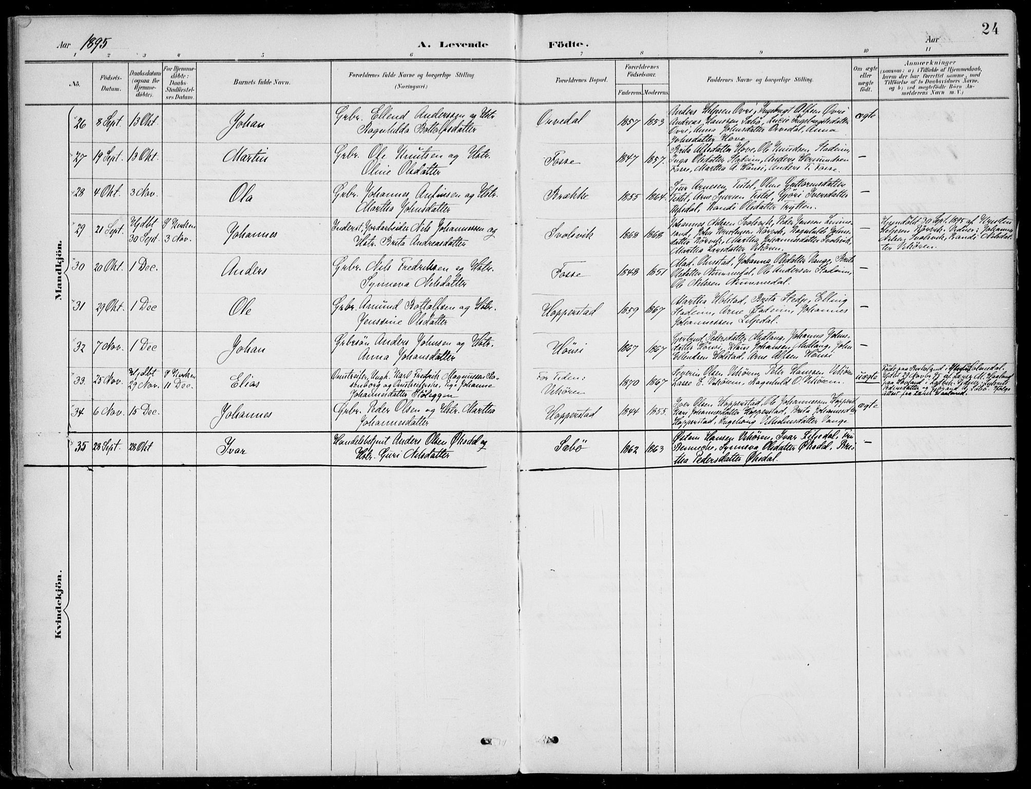Vik sokneprestembete, AV/SAB-A-81501/H/Haa/Haab/L0002: Ministerialbok nr. B  2, 1891-1907, s. 24