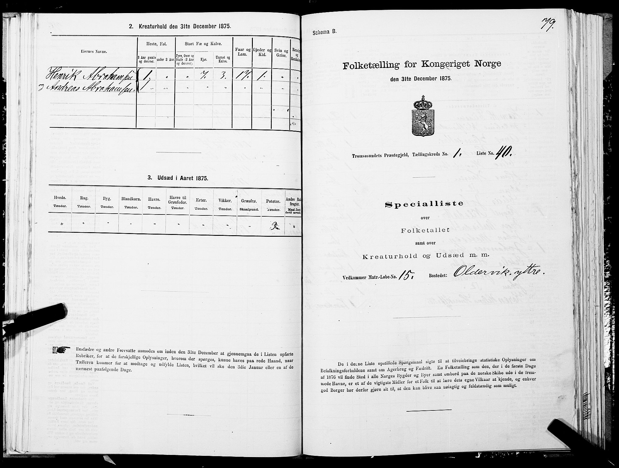 SATØ, Folketelling 1875 for 1934P Tromsøysund prestegjeld, 1875, s. 1079