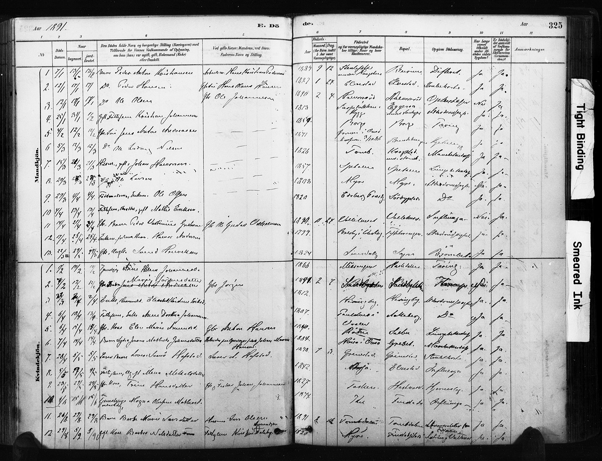 Råde prestekontor kirkebøker, AV/SAO-A-2009/F/Fa/L0007: Ministerialbok nr. 7, 1878-1902, s. 325