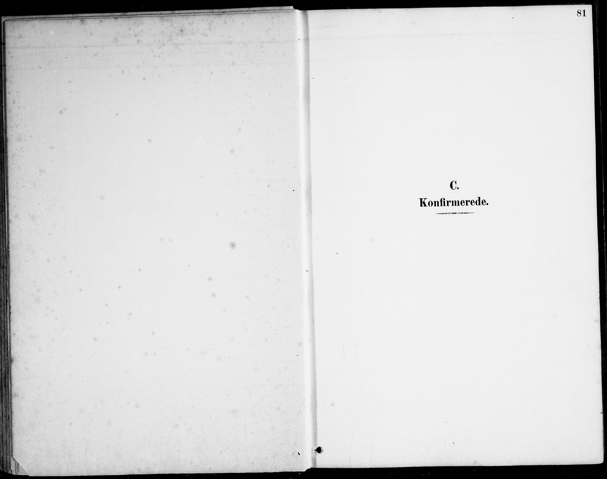 Herad sokneprestkontor, SAK/1111-0018/F/Fa/Fab/L0005: Ministerialbok nr. A 5, 1886-1913, s. 81