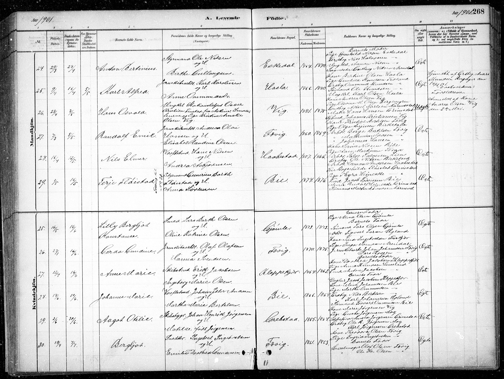 Fjære sokneprestkontor, AV/SAK-1111-0011/F/Fb/L0011: Klokkerbok nr. B 11, 1881-1905, s. 268