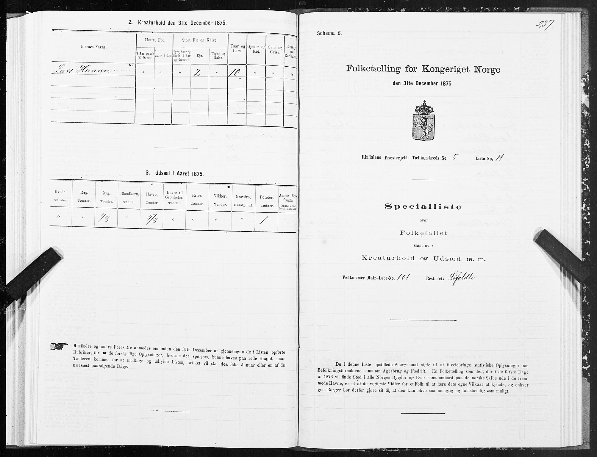 SAT, Folketelling 1875 for 1567P Rindal prestegjeld, 1875, s. 2237