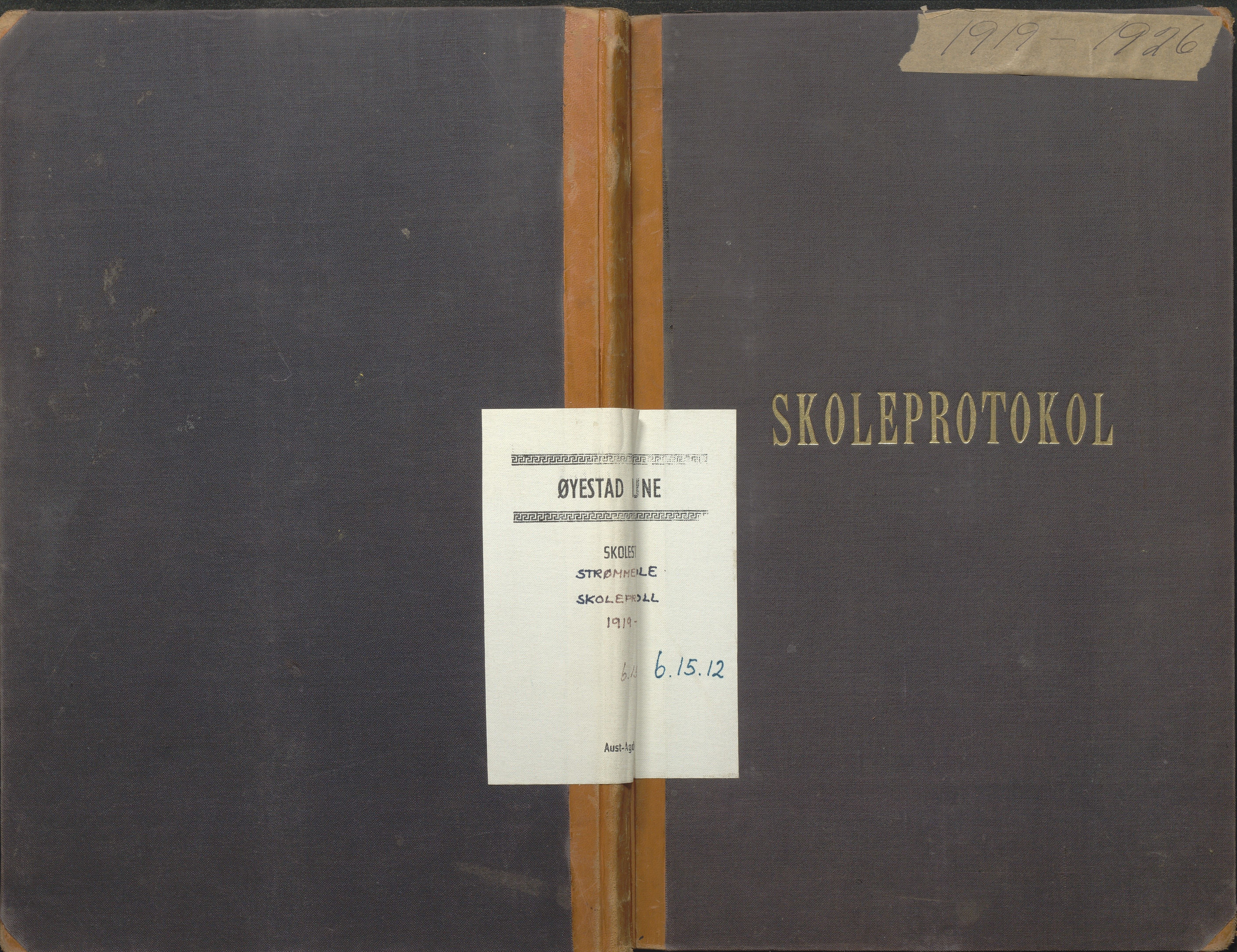 Øyestad kommune frem til 1979, AAKS/KA0920-PK/06/06G/L0012: Skoleprotokoll, 1919-1926