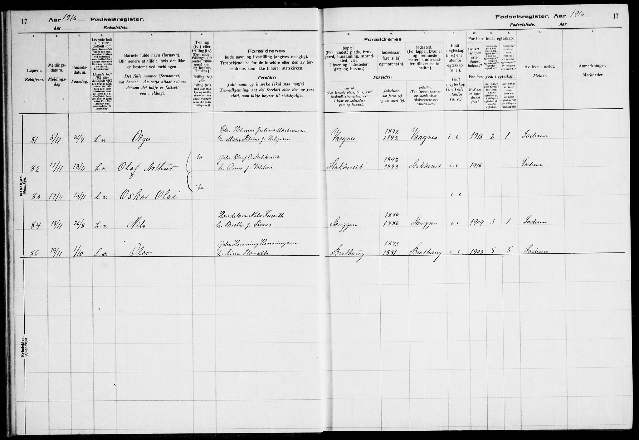 Ministerialprotokoller, klokkerbøker og fødselsregistre - Møre og Romsdal, SAT/A-1454/528/L0442: Fødselsregister nr. 528.II.4.1, 1916-1924, s. 17