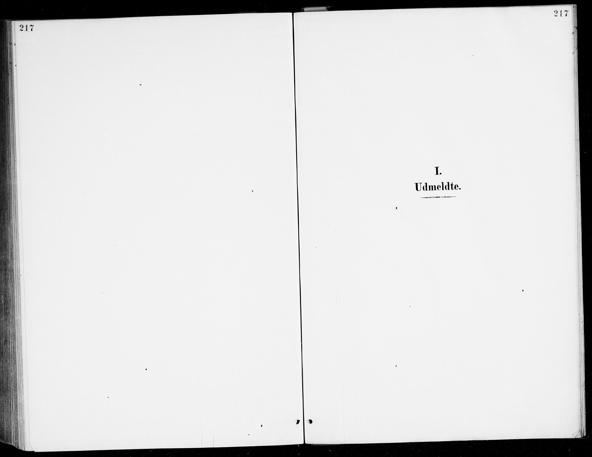Haus sokneprestembete, SAB/A-75601/H/Haa/Haad/L0001: Ministerialbok nr. D 1, 1887-1898, s. 217
