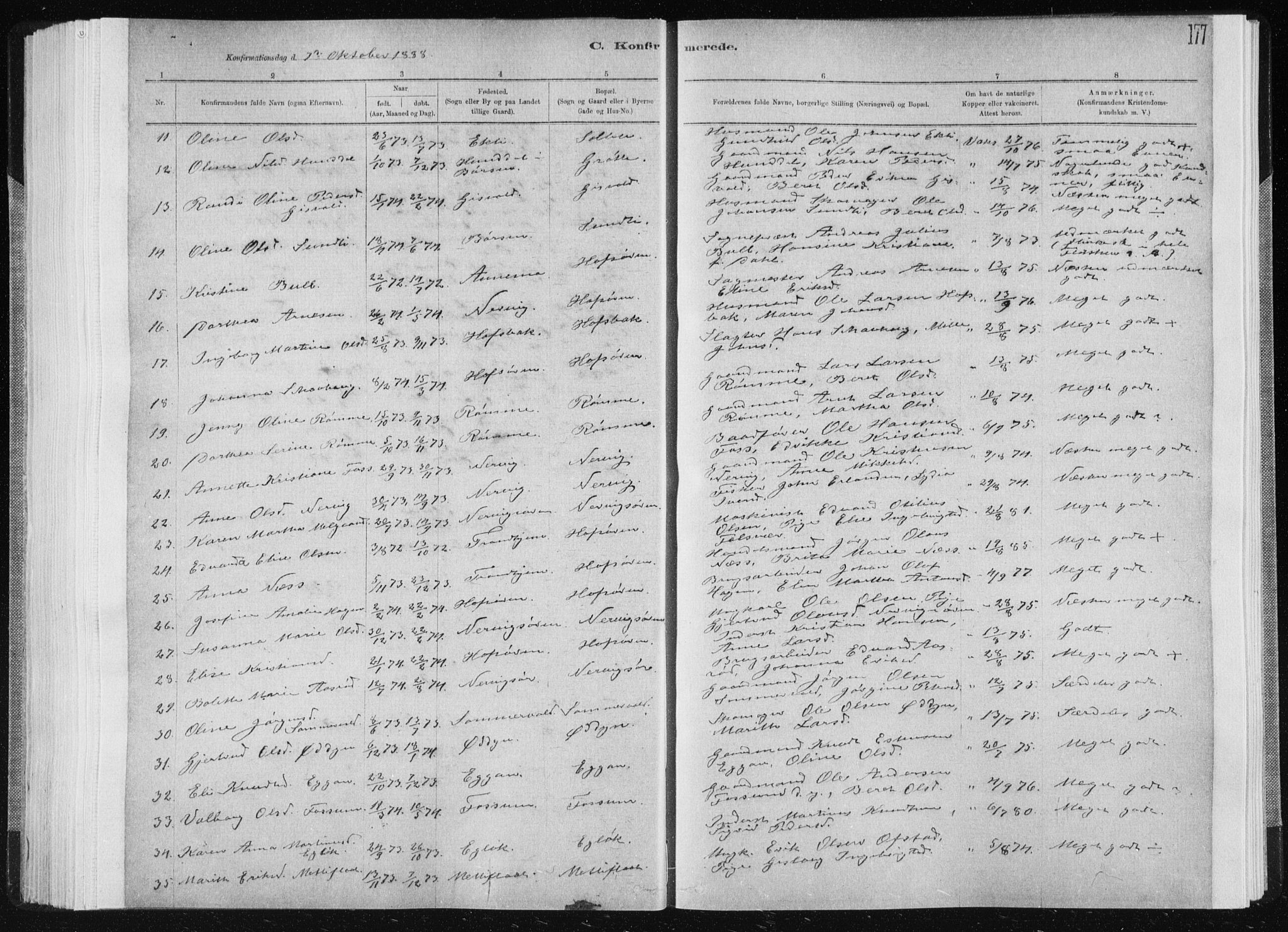 Ministerialprotokoller, klokkerbøker og fødselsregistre - Sør-Trøndelag, SAT/A-1456/668/L0818: Klokkerbok nr. 668C07, 1885-1898, s. 177