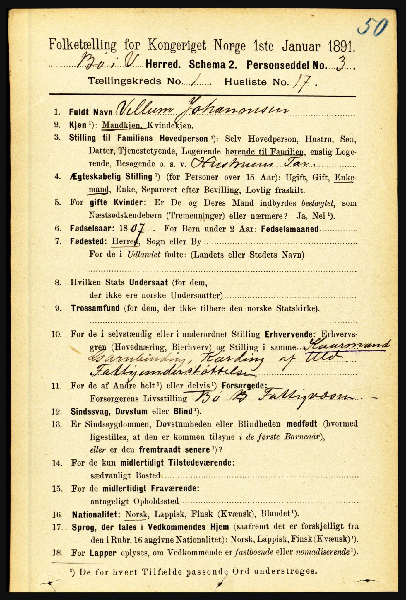 RA, Folketelling 1891 for 1867 Bø herred, 1891, s. 213