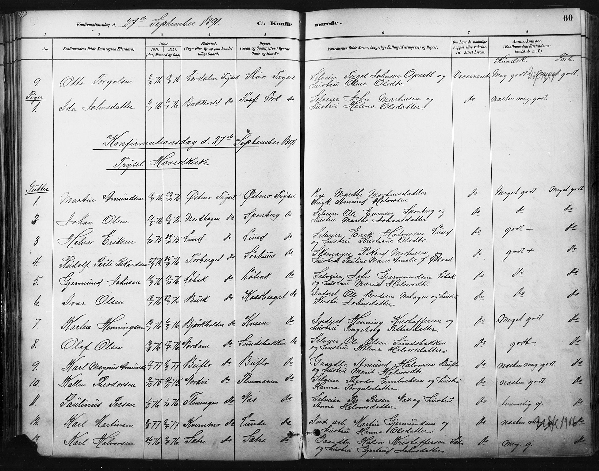 Trysil prestekontor, AV/SAH-PREST-046/H/Ha/Haa/L0009: Ministerialbok nr. 9, 1881-1897, s. 60