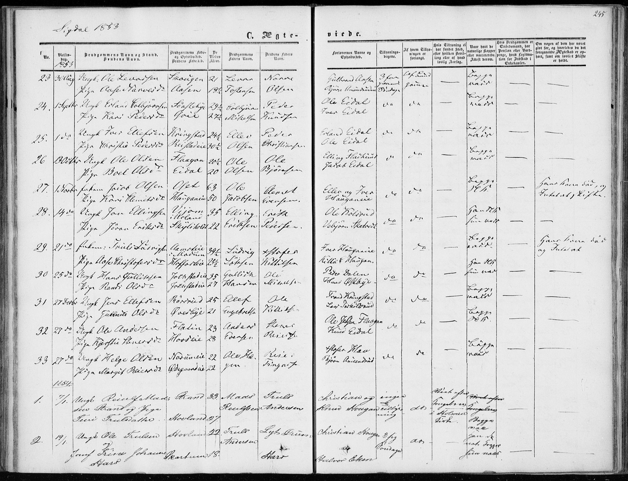 Sigdal kirkebøker, AV/SAKO-A-245/F/Fa/L0008: Ministerialbok nr. I 8, 1850-1859, s. 245