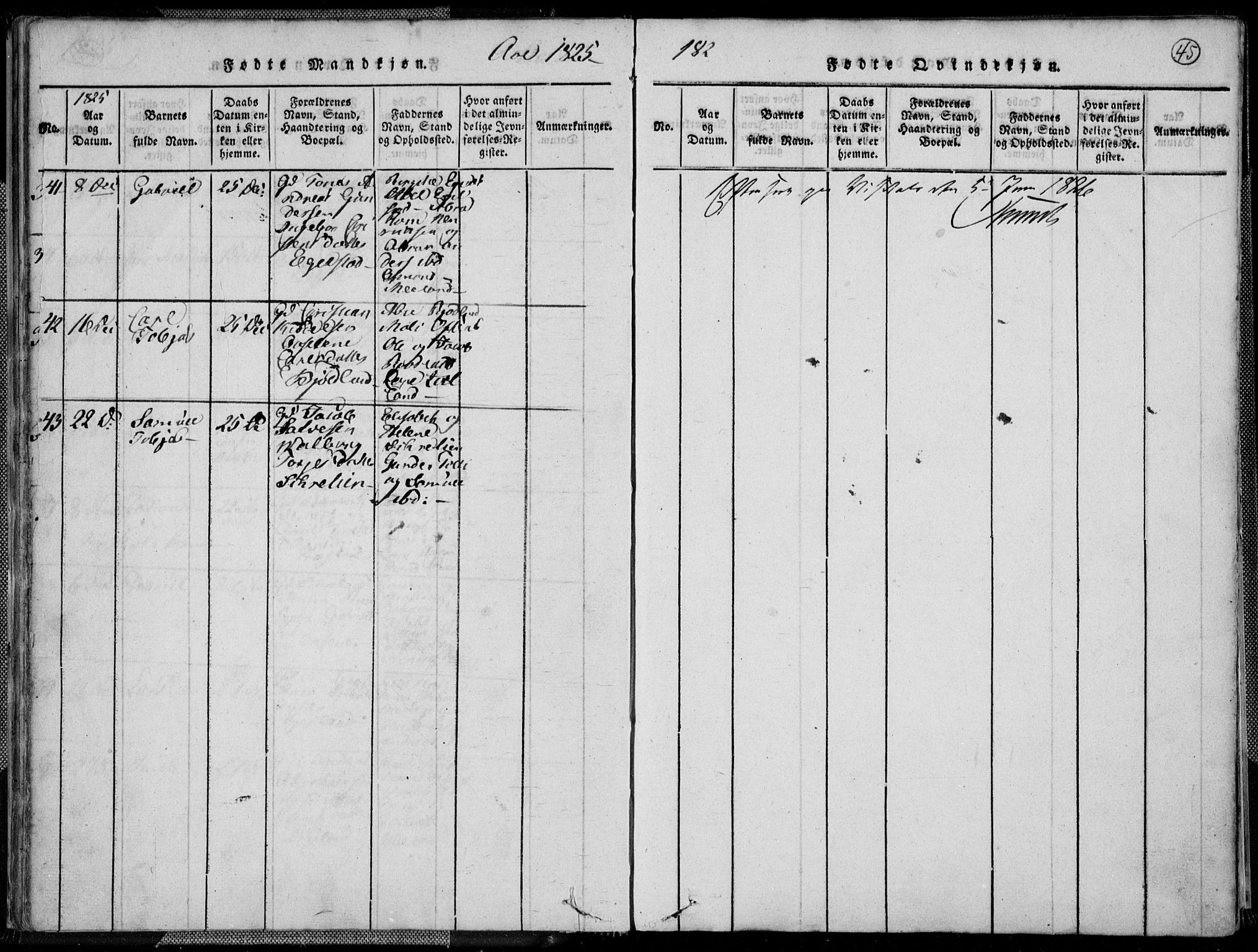 Lyngdal sokneprestkontor, AV/SAK-1111-0029/F/Fa/Fac/L0006: Ministerialbok nr. A 6, 1815-1825, s. 45