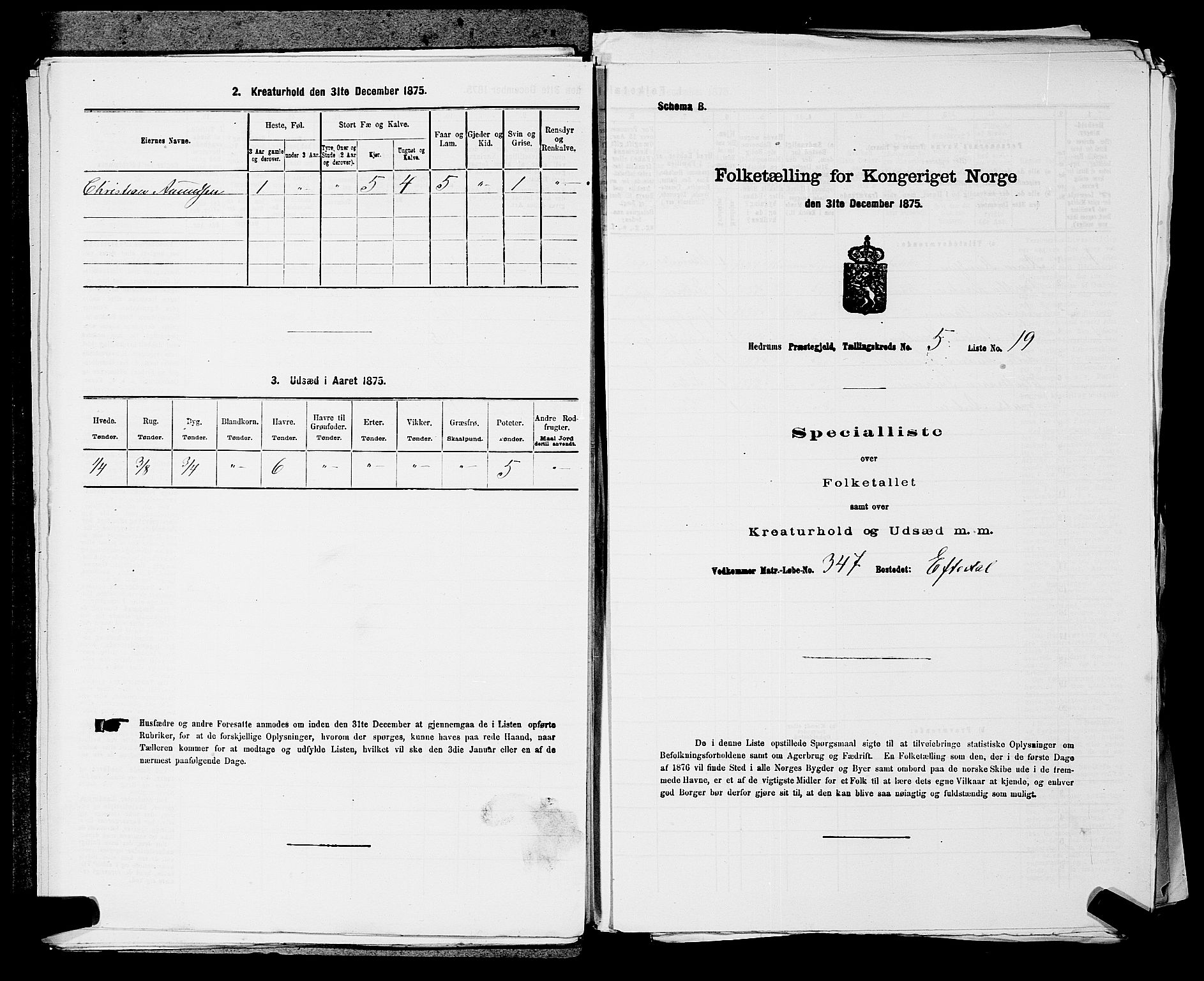 SAKO, Folketelling 1875 for 0727P Hedrum prestegjeld, 1875, s. 529