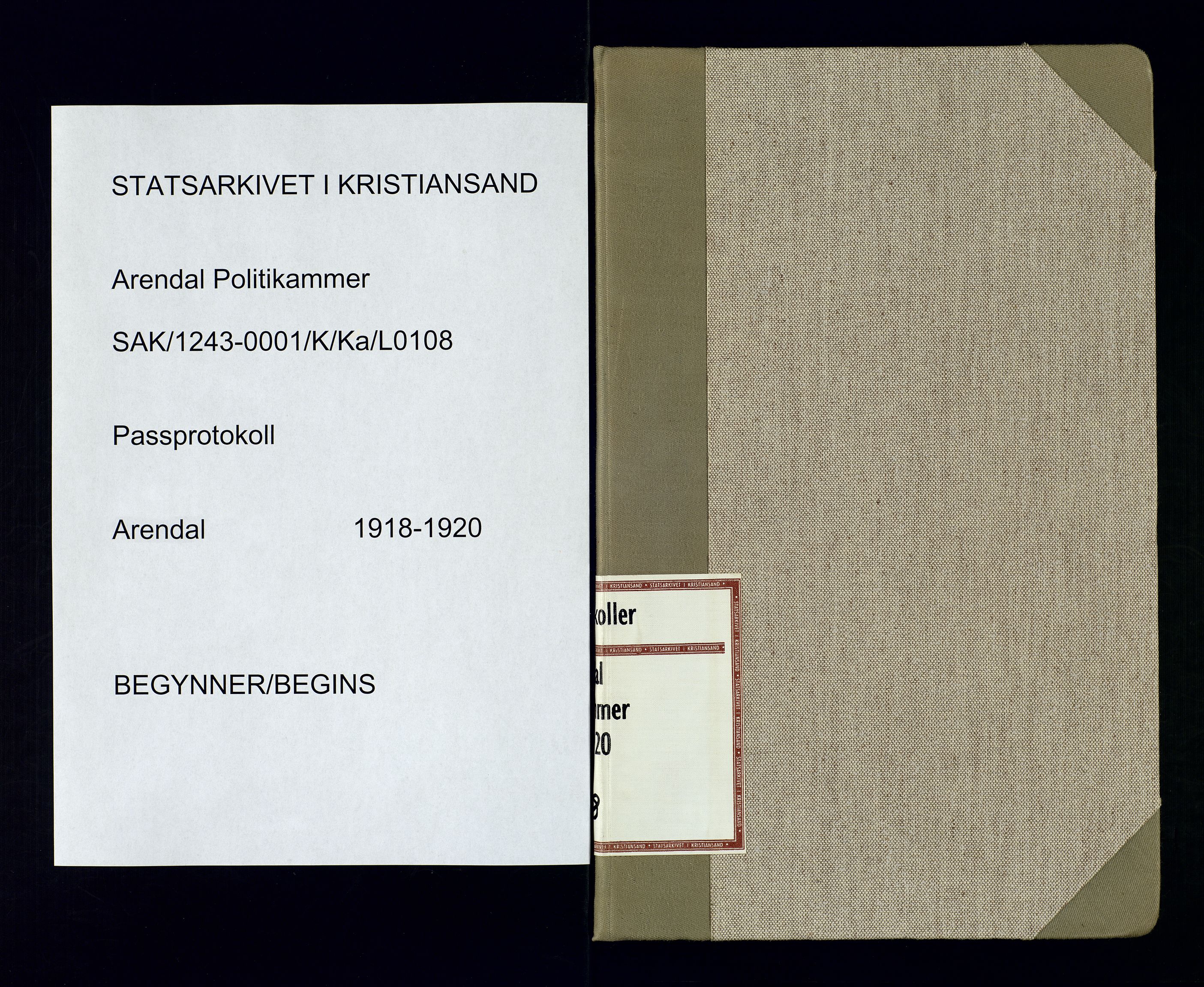 Arendal politikammer - 1, SAK/1243-0001/K/Ka/L0108: Passprotokoll, 1918-1920