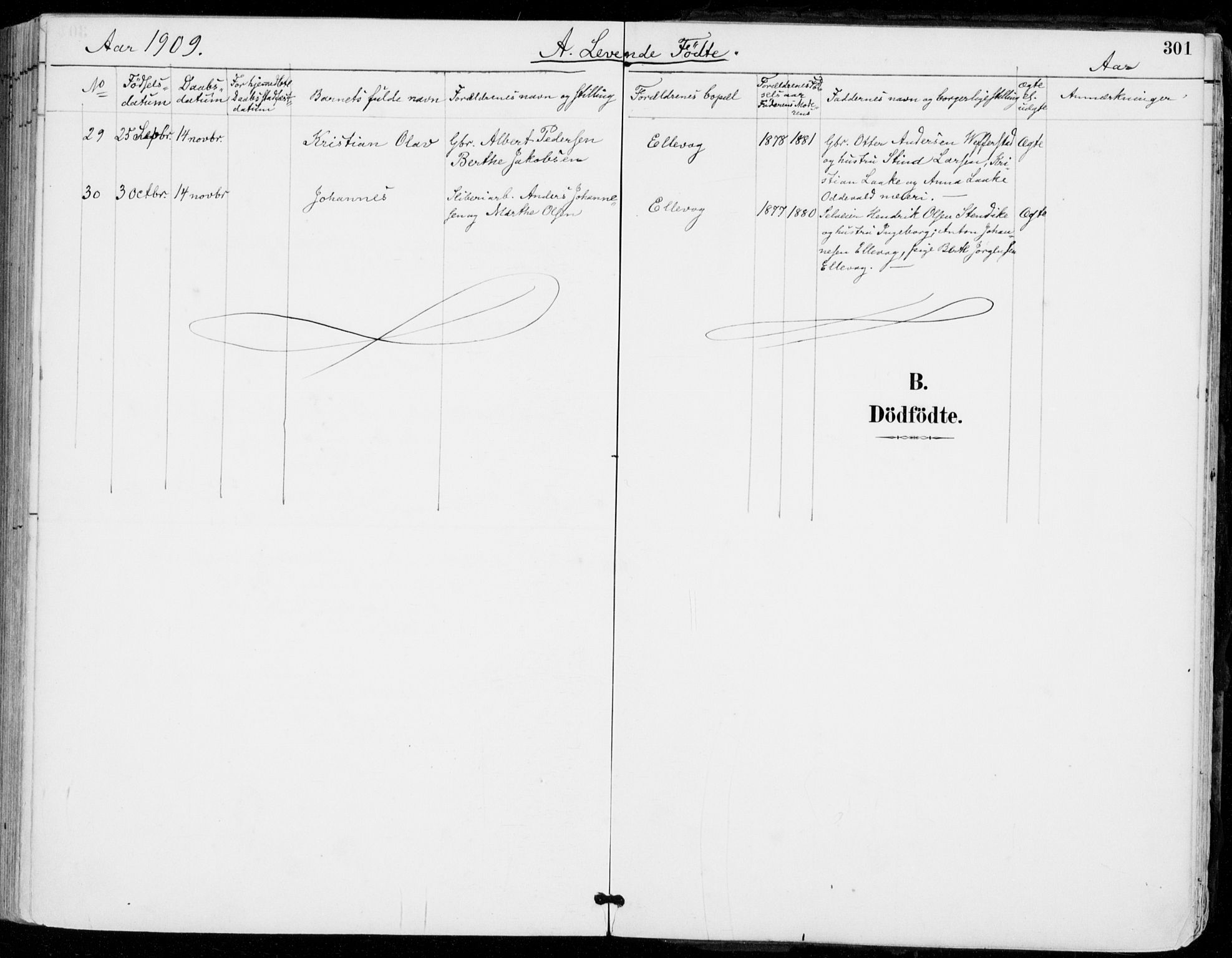Sylling kirkebøker, AV/SAKO-A-247/F/Fa/L0001: Ministerialbok nr. 1, 1883-1910, s. 301