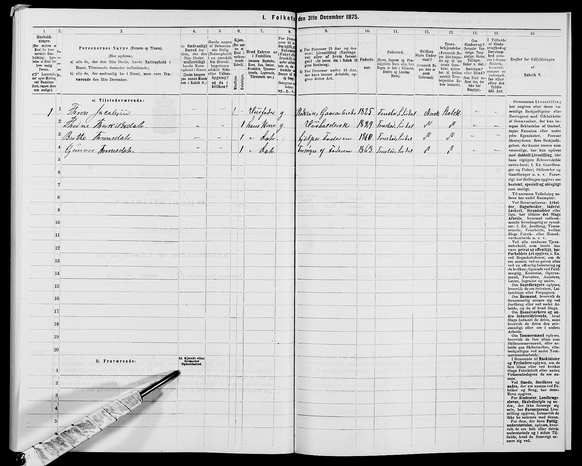 SAK, Folketelling 1875 for 1046P Sirdal prestegjeld, 1875, s. 263