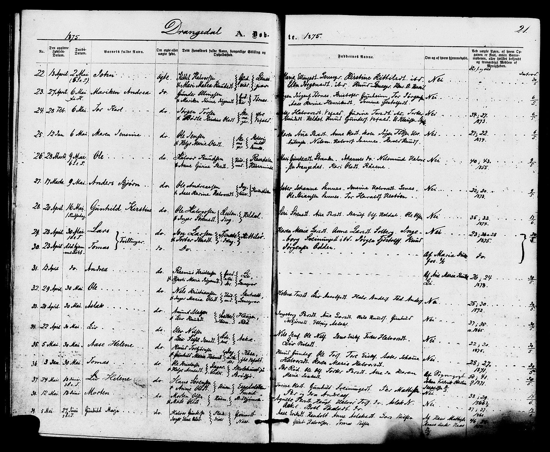 Drangedal kirkebøker, AV/SAKO-A-258/F/Fa/L0009: Ministerialbok nr. 9 /1, 1872-1884, s. 21