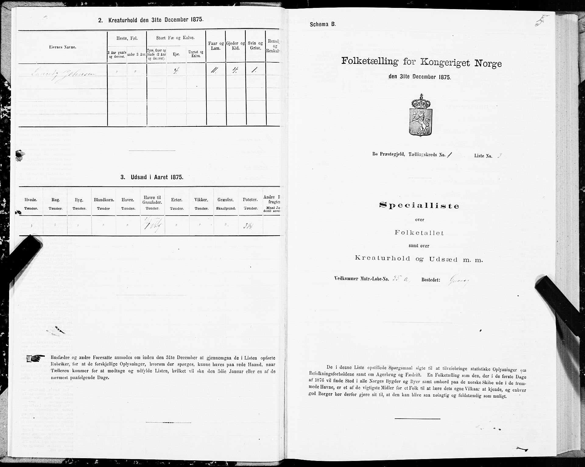 SAT, Folketelling 1875 for 1867P Bø prestegjeld, 1875, s. 1005