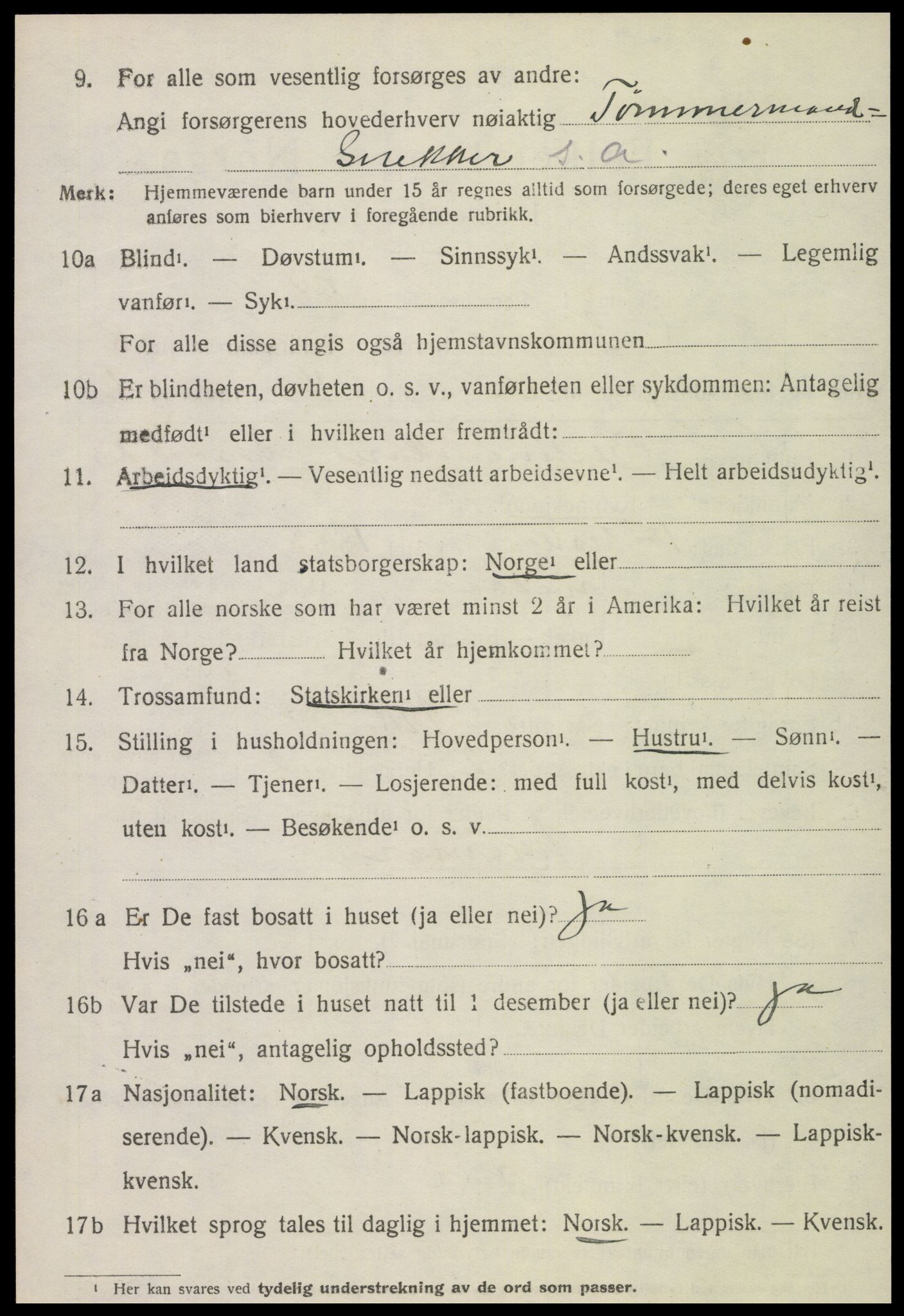 SAT, Folketelling 1920 for 1736 Snåsa herred, 1920, s. 3445
