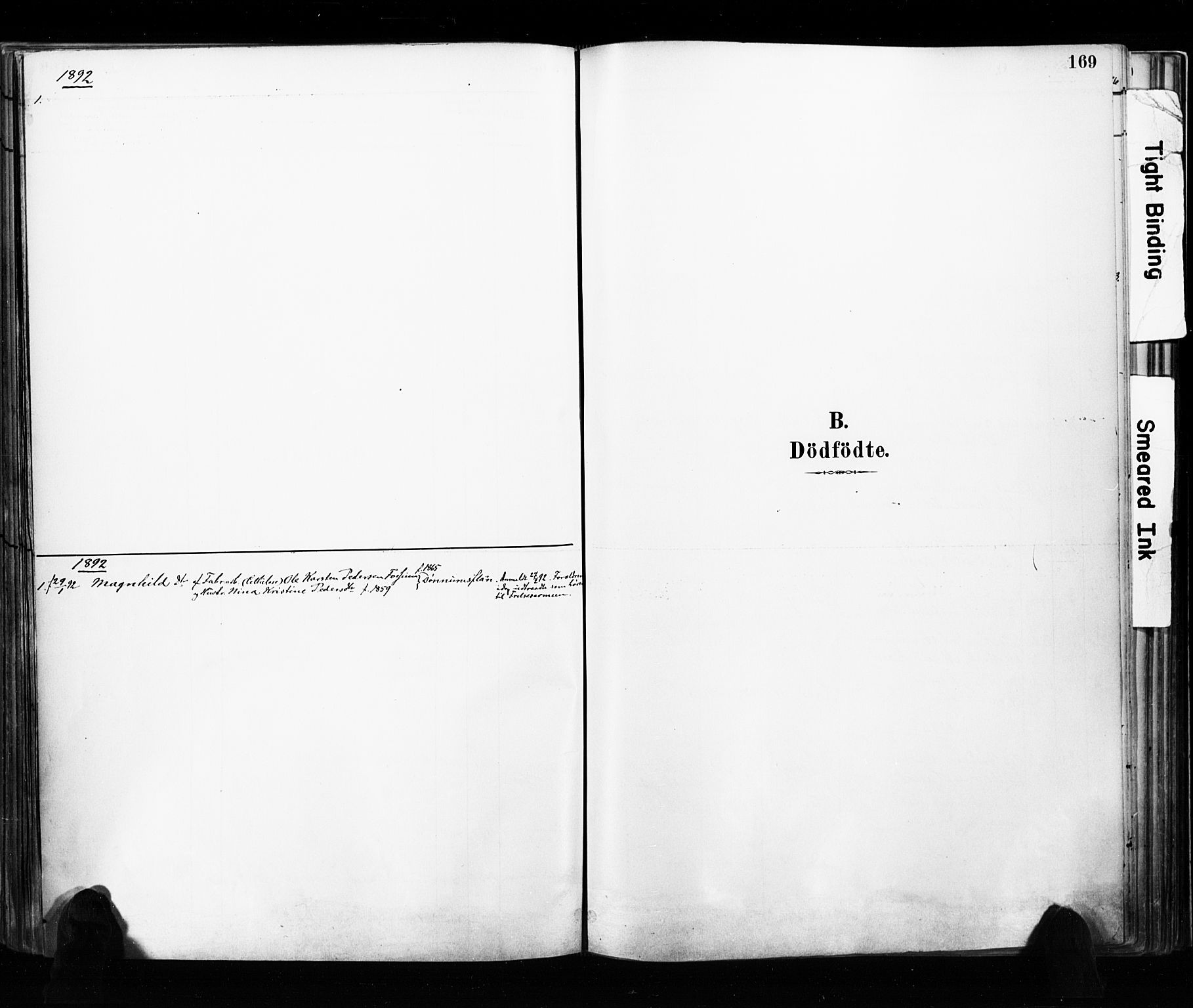 Eidsvoll prestekontor Kirkebøker, AV/SAO-A-10888/F/Fa/L0002: Ministerialbok nr. I 2, 1882-1895, s. 169