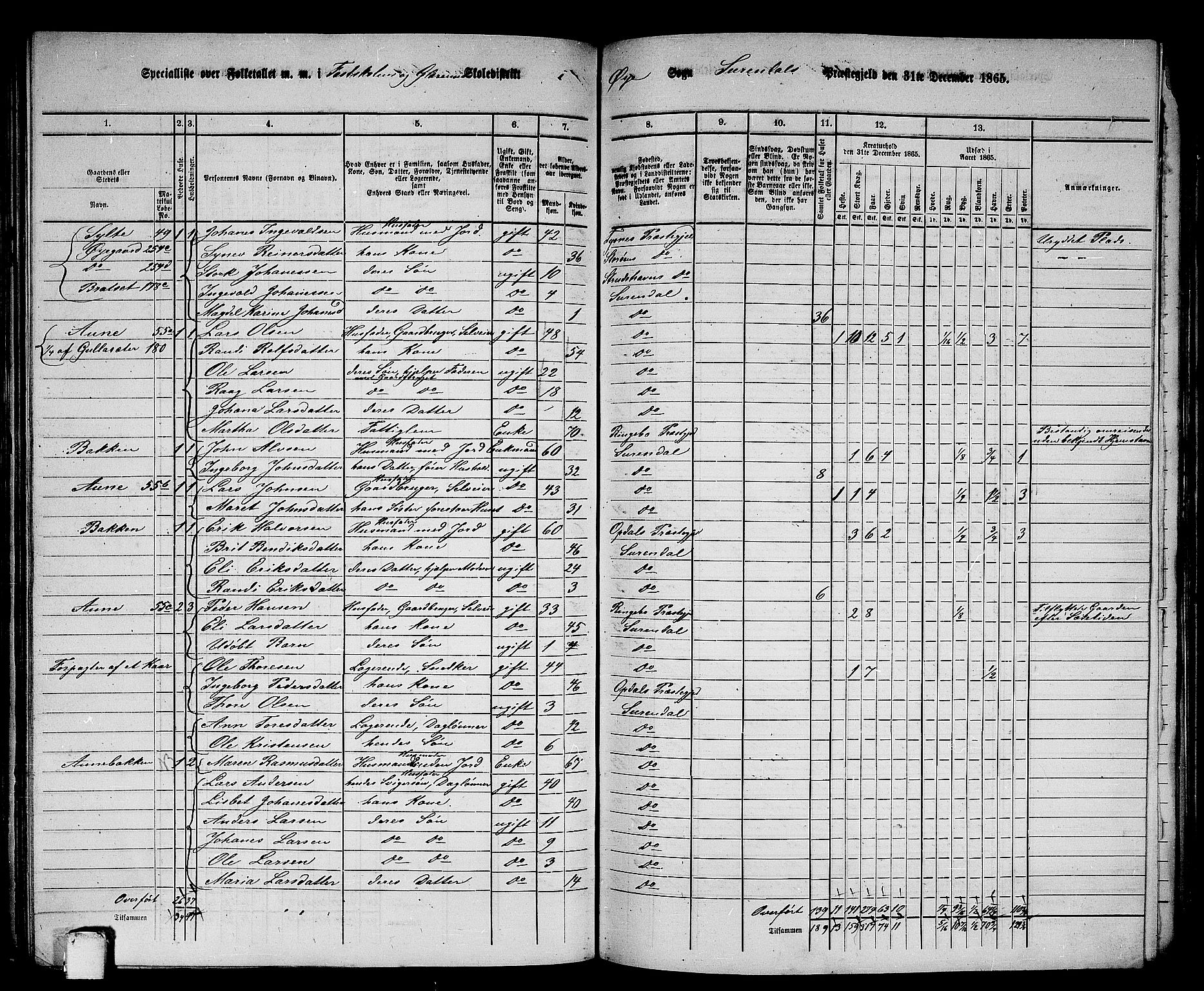 RA, Folketelling 1865 for 1566P Surnadal prestegjeld, 1865, s. 135