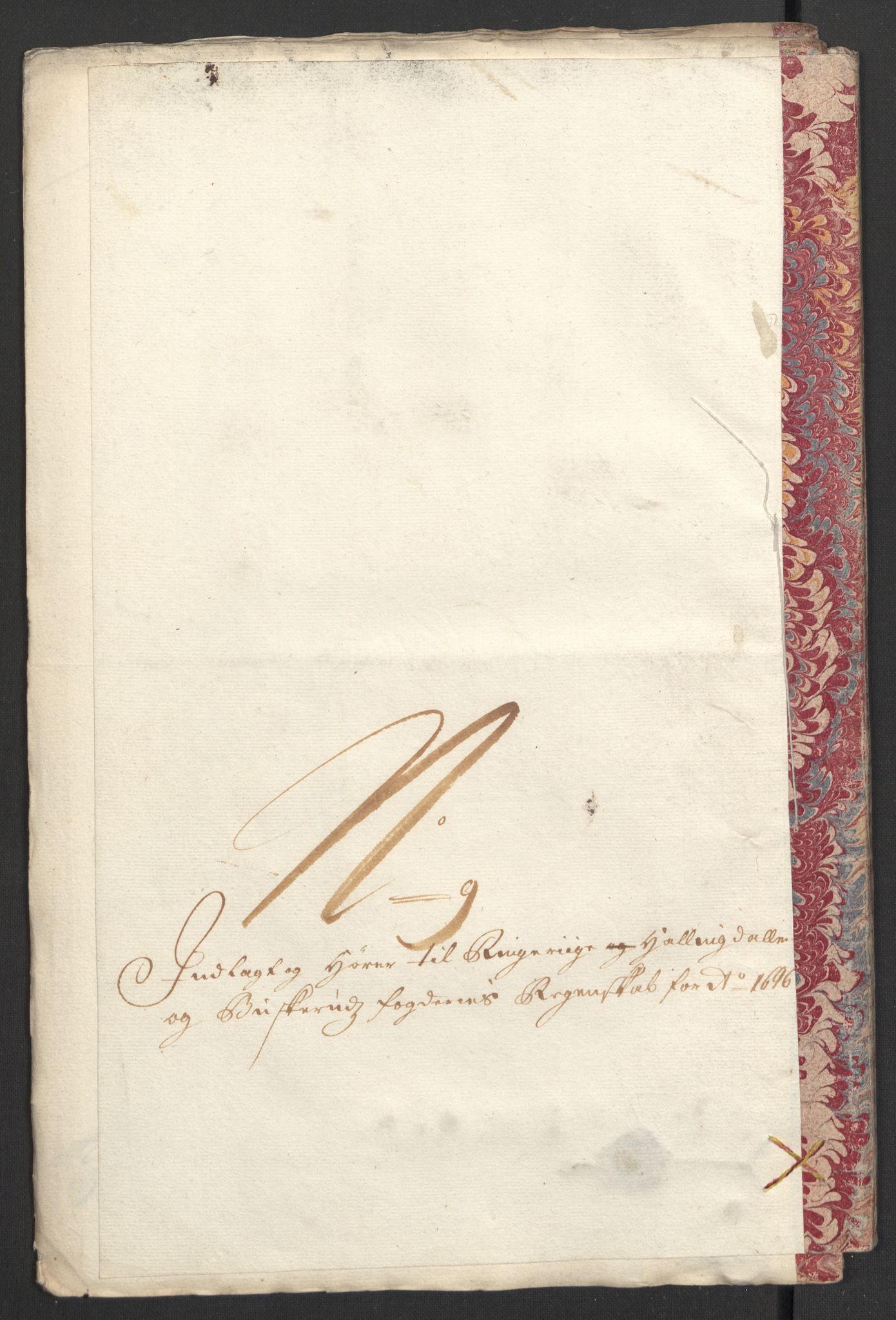 Rentekammeret inntil 1814, Reviderte regnskaper, Fogderegnskap, RA/EA-4092/R22/L1453: Fogderegnskap Ringerike, Hallingdal og Buskerud, 1696, s. 289