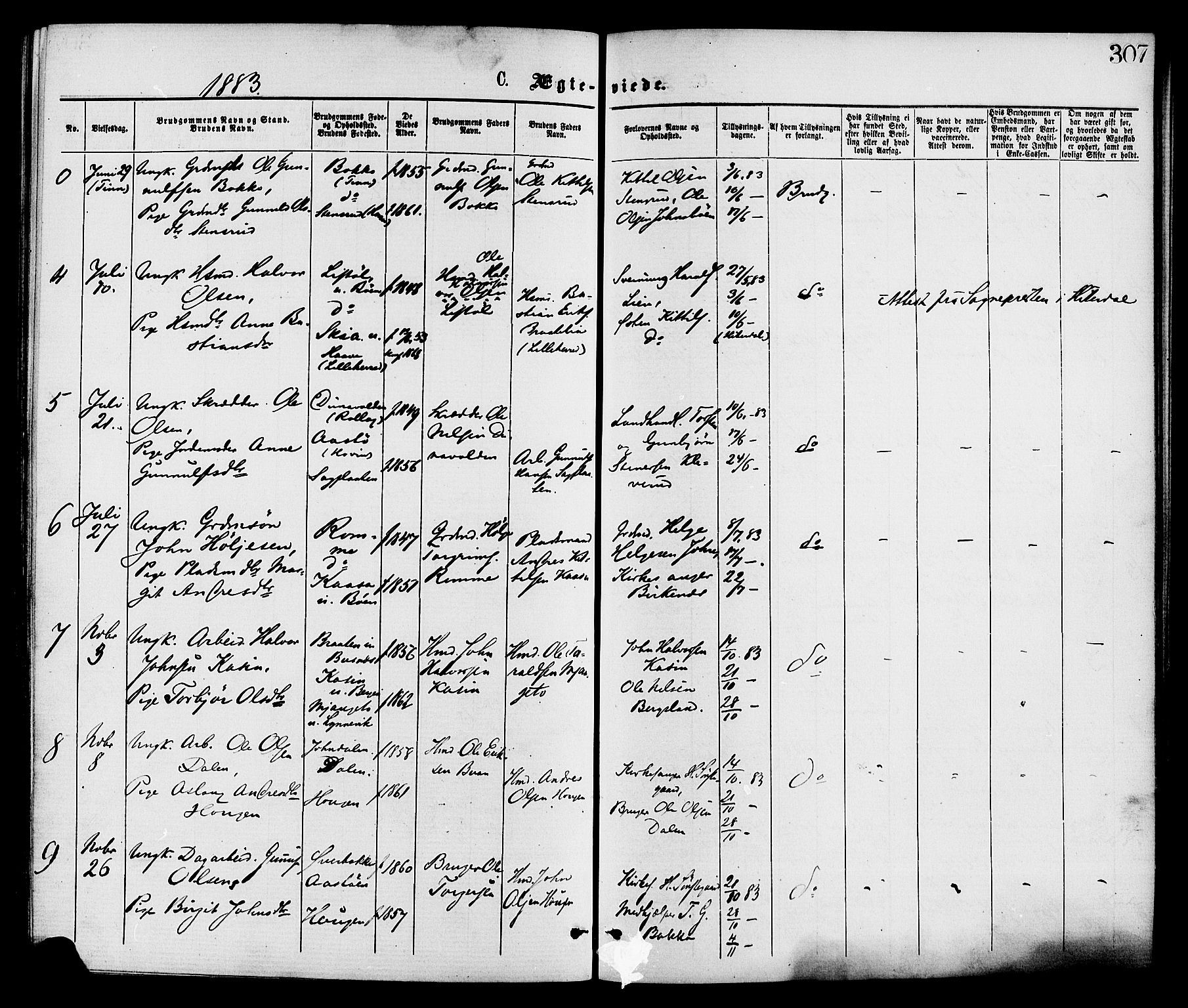 Gransherad kirkebøker, AV/SAKO-A-267/F/Fa/L0004: Ministerialbok nr. I 4, 1871-1886, s. 307