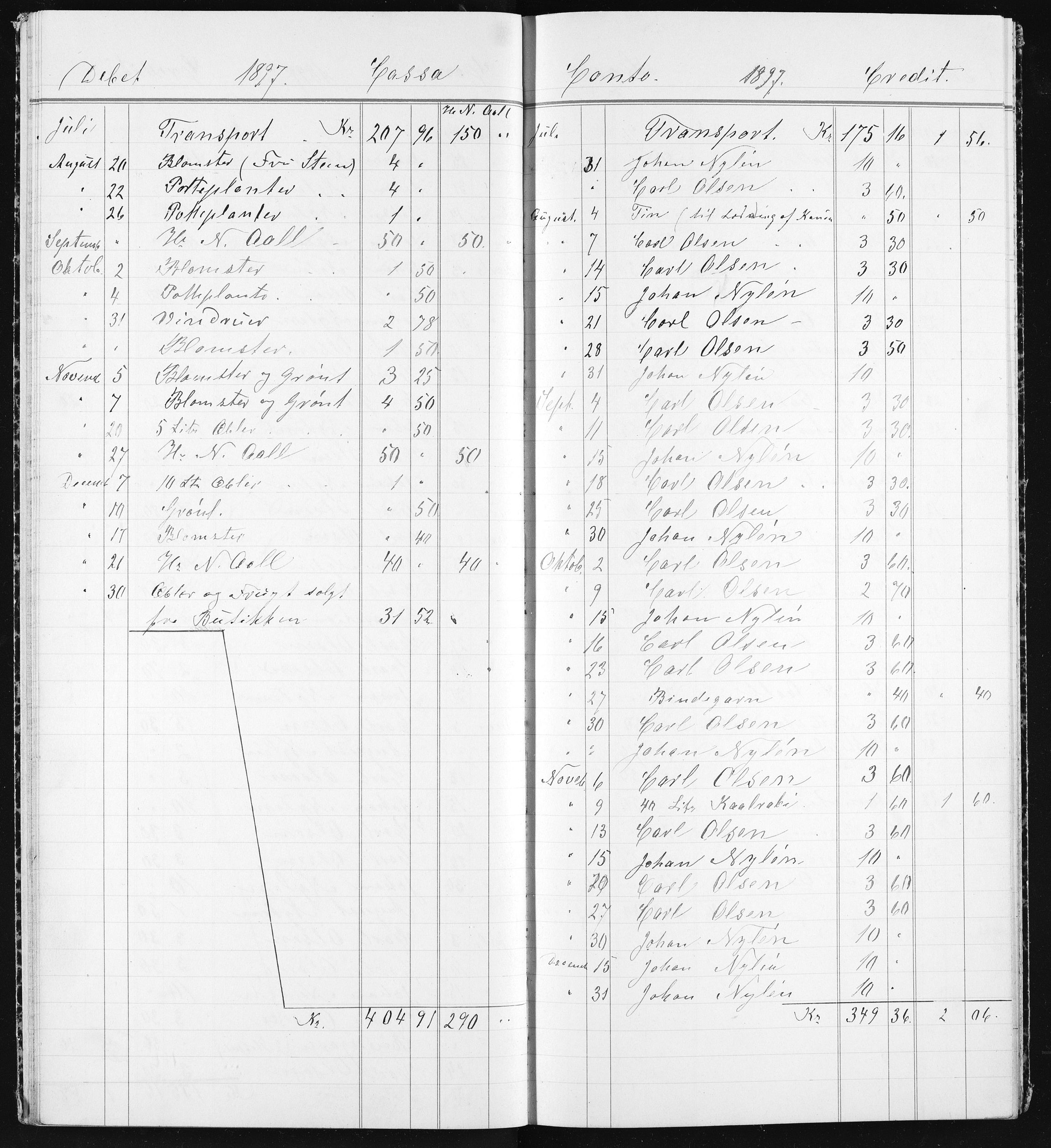 Familien Aalls privatarkiv , NESJ/NJM-005/E-00003/L0001/0001/0008: Dag- og notatbøker / Dølner bokpakke 001, 1894-1909