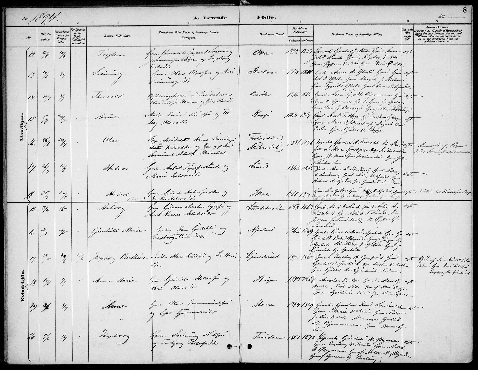 Lunde kirkebøker, AV/SAKO-A-282/F/Fa/L0003: Ministerialbok nr. I 3, 1893-1902, s. 8