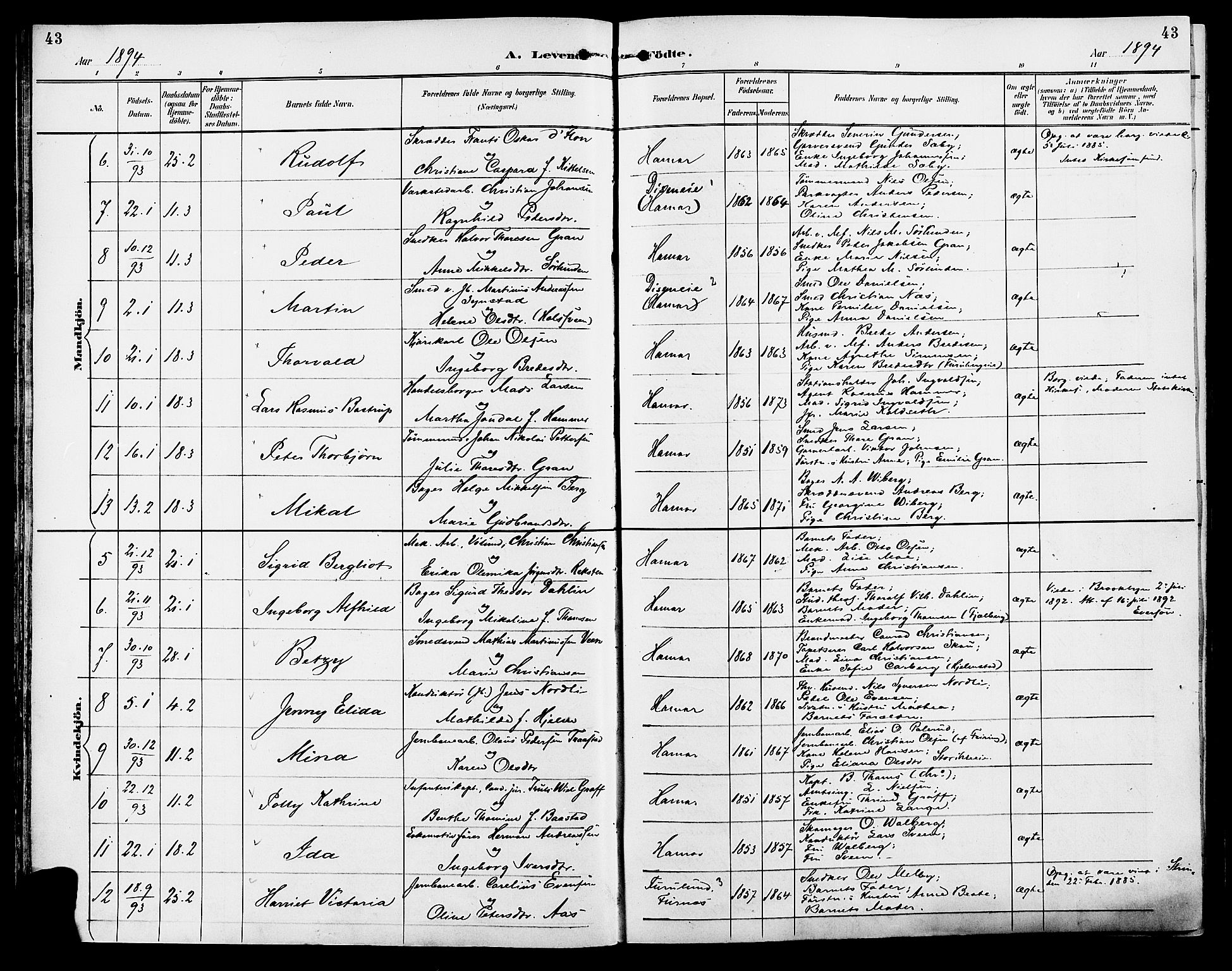 Vang prestekontor, Hedmark, AV/SAH-PREST-008/H/Ha/Haa/L0017: Ministerialbok nr. 17, 1890-1899, s. 43