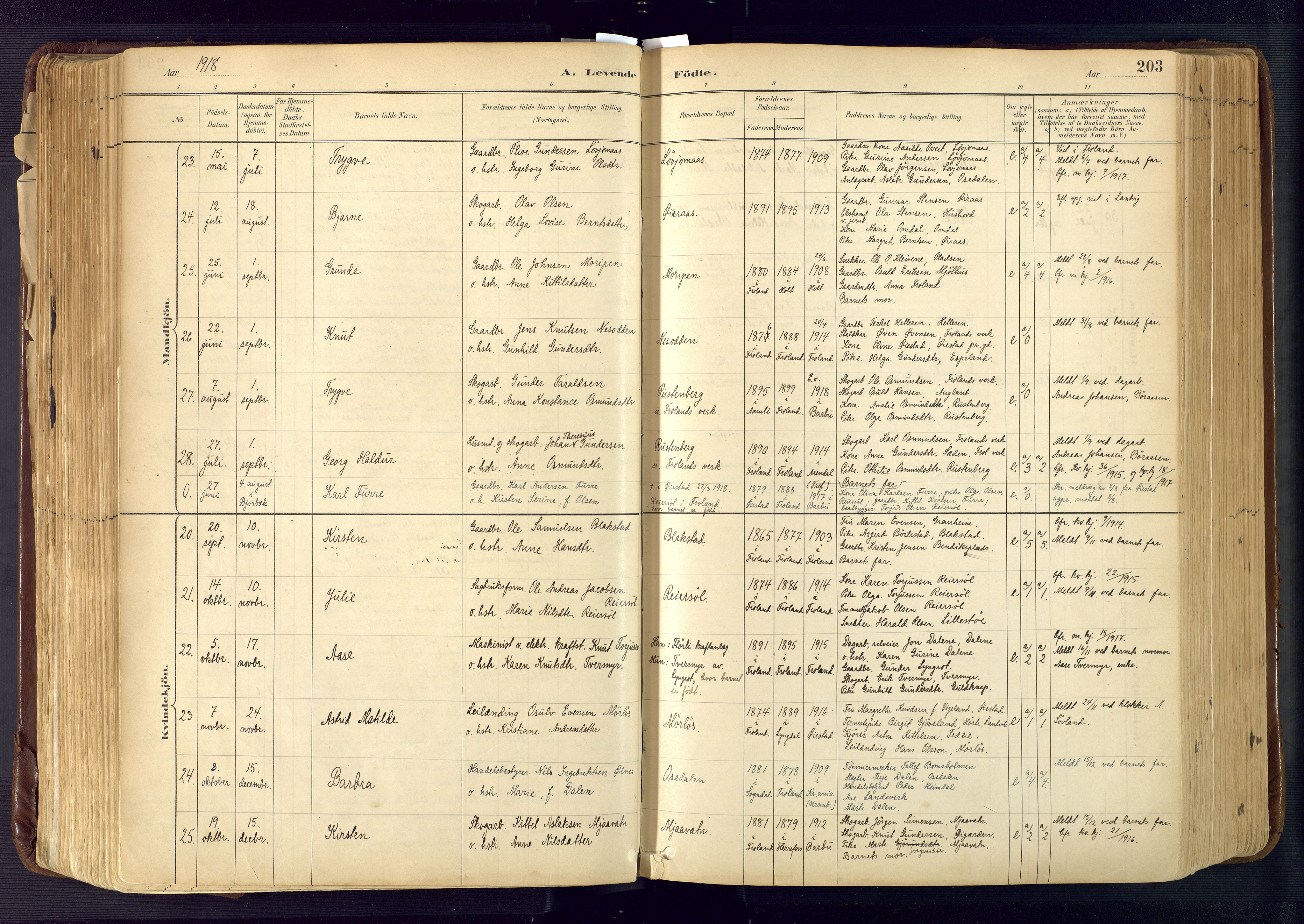 Froland sokneprestkontor, AV/SAK-1111-0013/F/Fa/L0005: Ministerialbok nr. A 5, 1882-1921, s. 203