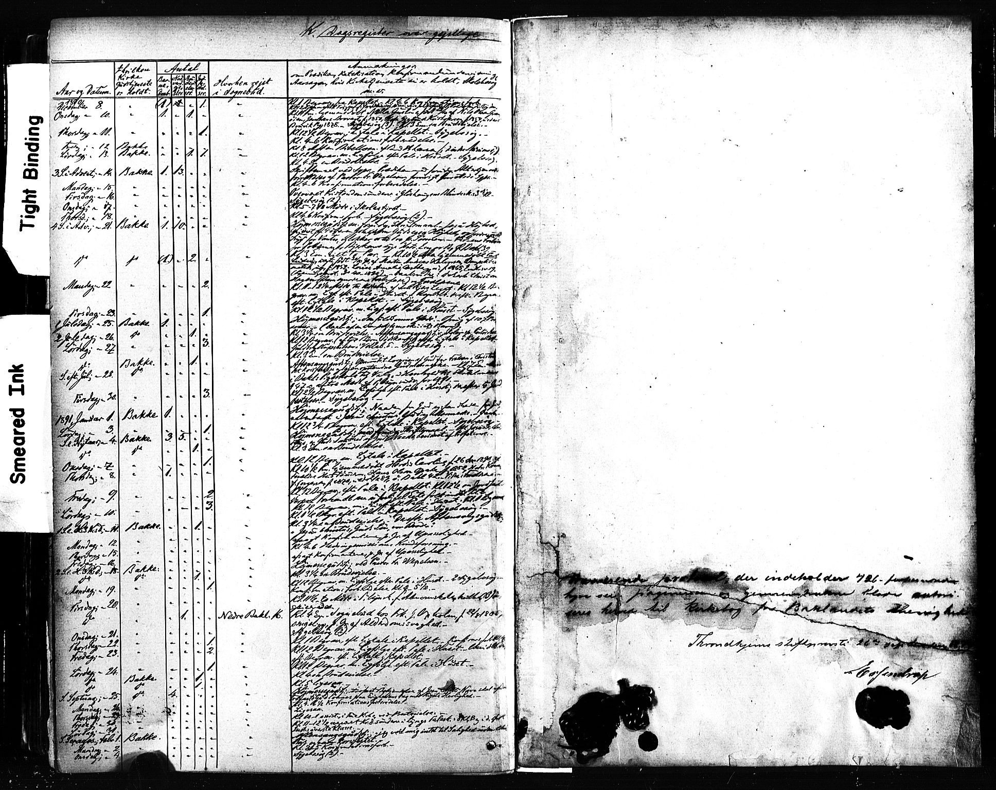 Ministerialprotokoller, klokkerbøker og fødselsregistre - Sør-Trøndelag, AV/SAT-A-1456/604/L0189: Ministerialbok nr. 604A10, 1878-1892