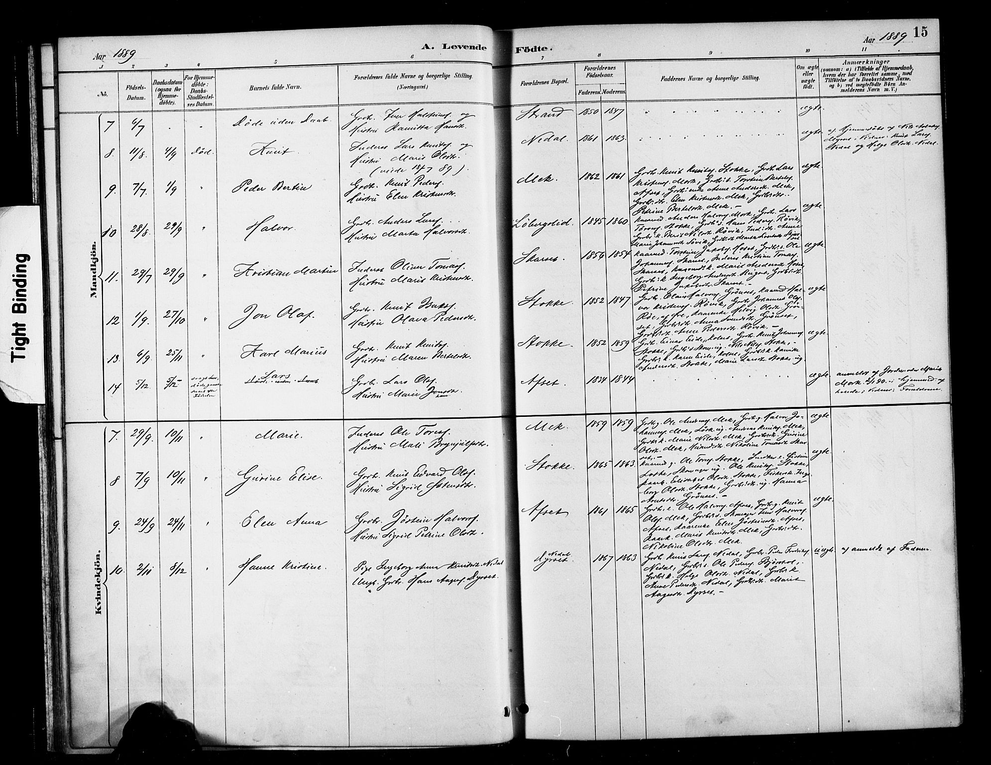 Ministerialprotokoller, klokkerbøker og fødselsregistre - Møre og Romsdal, AV/SAT-A-1454/568/L0809: Ministerialbok nr. 568A13, 1884-1900, s. 15