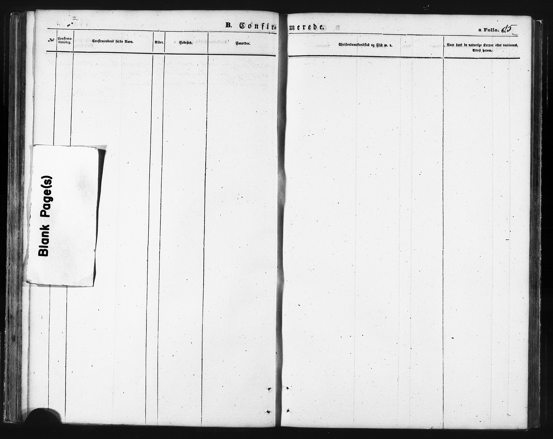 Sand/Bjarkøy sokneprestkontor, SATØ/S-0811/I/Ia/Iab/L0001klokker: Klokkerbok nr. 1, 1866-1877, s. 85