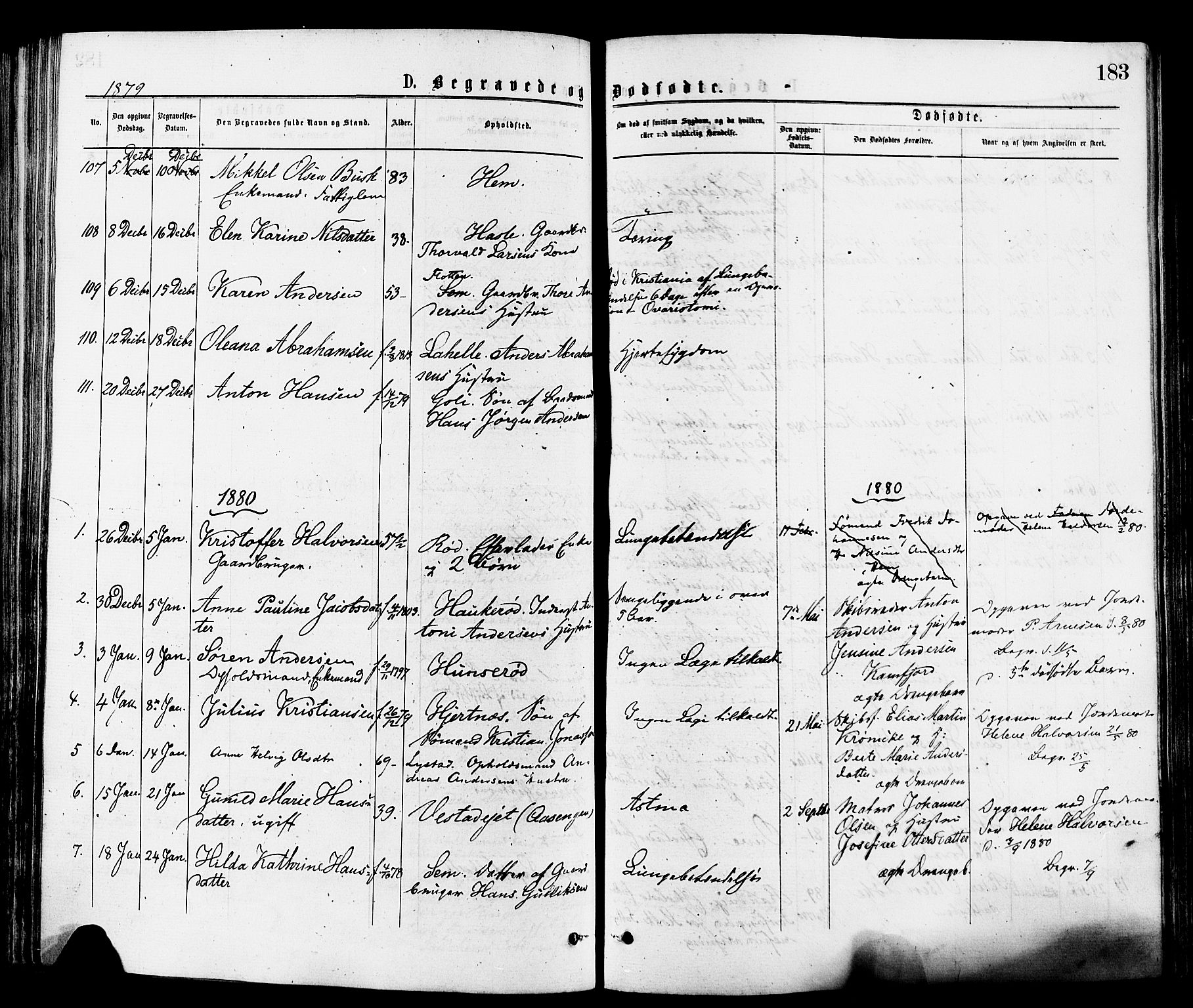 Sandar kirkebøker, AV/SAKO-A-243/F/Fa/L0011: Ministerialbok nr. 11, 1872-1882, s. 183