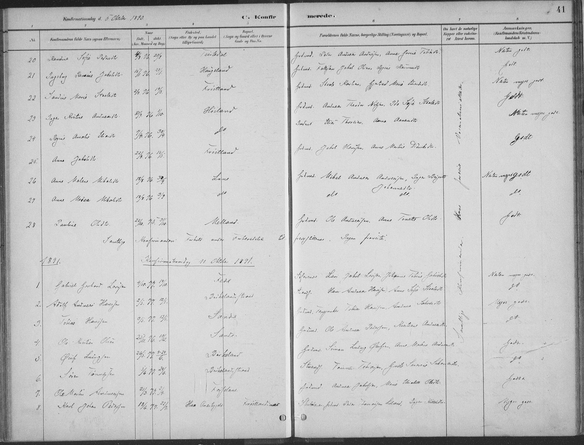 Kvinesdal sokneprestkontor, SAK/1111-0026/F/Fa/Faa/L0004: Ministerialbok nr. A 4, 1882-1897, s. 41