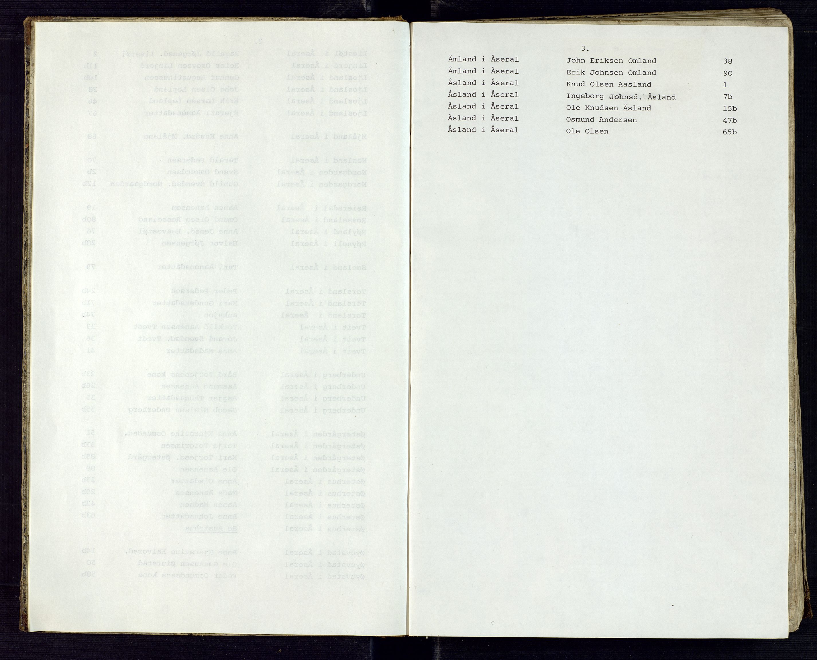 Setesdal sorenskriveri, SAK/1221-0011/H/Hc/L0028: Skifteregistreringsprotokoll nr 1 Åseral tinglag med register, 1846-1875, s. 3