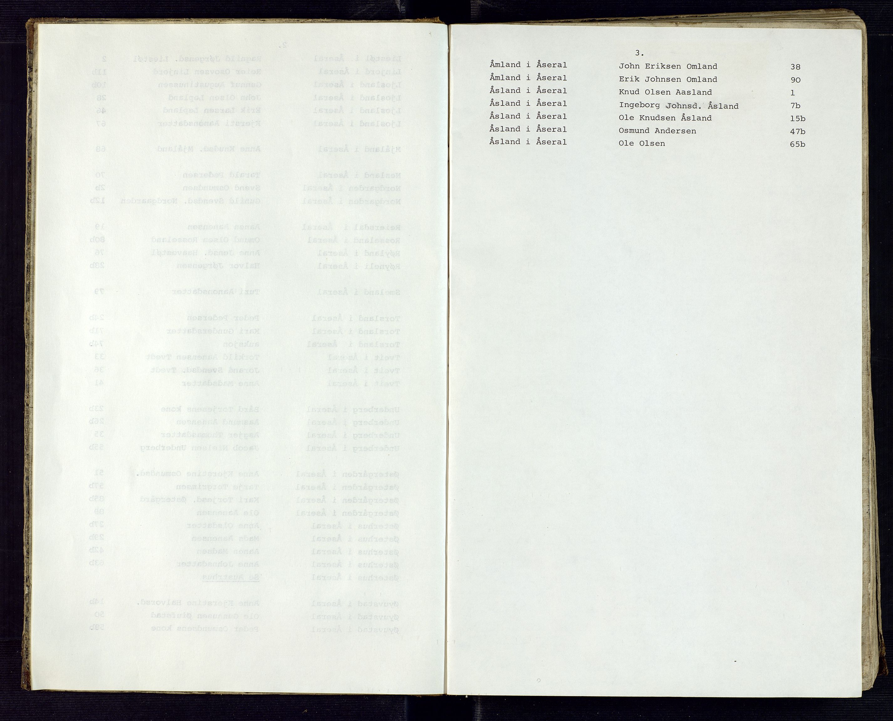 Setesdal sorenskriveri, AV/SAK-1221-0011/H/Hc/L0028: Skifteregistreringsprotokoll nr 1 Åseral tinglag med register, 1846-1875, s. 3