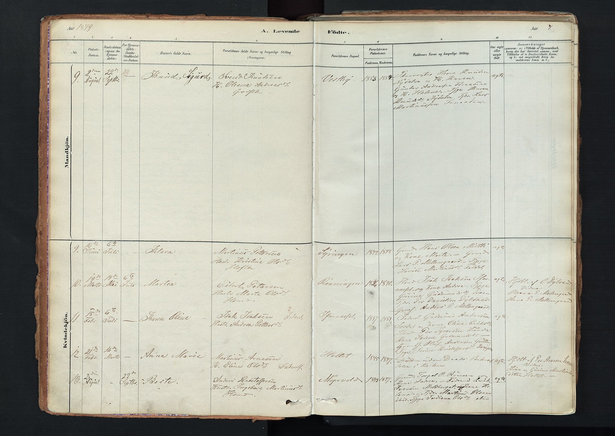 Trysil prestekontor, AV/SAH-PREST-046/H/Ha/Haa/L0011: Ministerialbok nr. 11, 1878-1912, s. 7