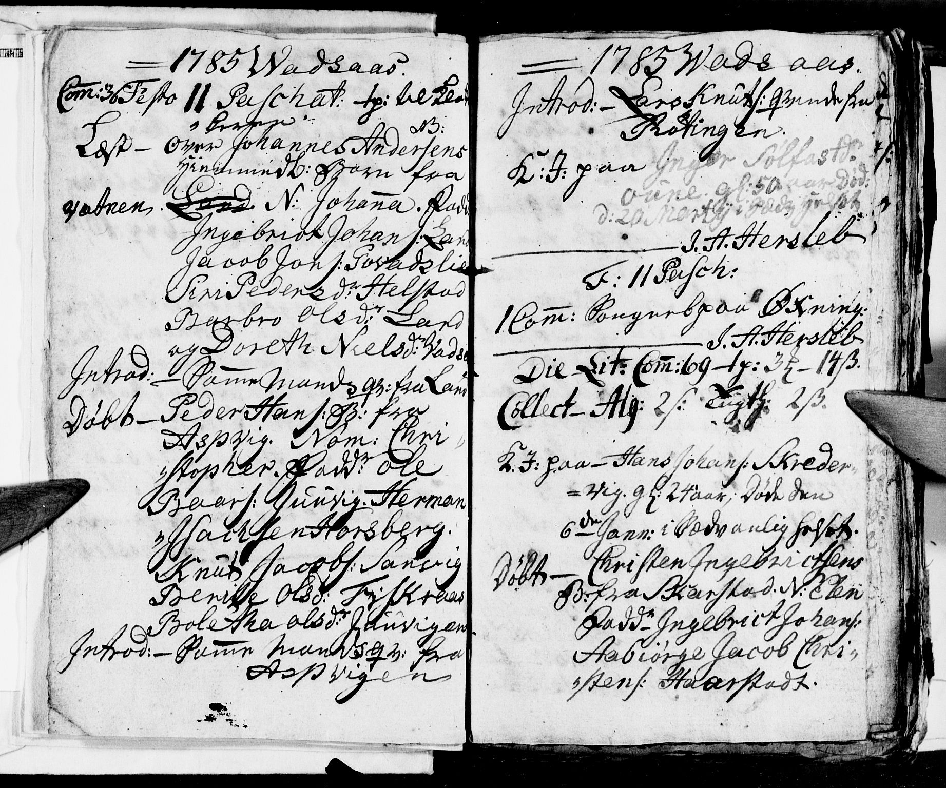 Ministerialprotokoller, klokkerbøker og fødselsregistre - Nordland, AV/SAT-A-1459/810/L0139: Ministerialbok nr. 810A03, 1785-1816